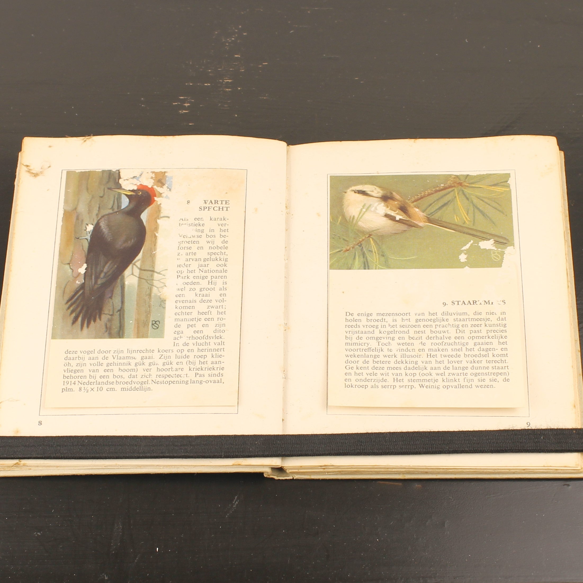 Hille Zakalbums – De Hoge Veluwe I, II & III – Albums d'épargne de l'entre-deux-guerres – Rein Stuurman – ca. années 1930