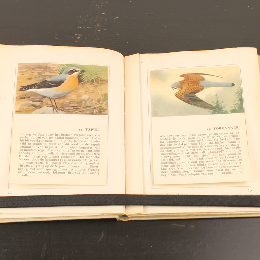 Hille Zakalbums – De Hoge Veluwe I, II & III – Albums d'épargne de l'entre-deux-guerres – Rein Stuurman – ca. années 1930