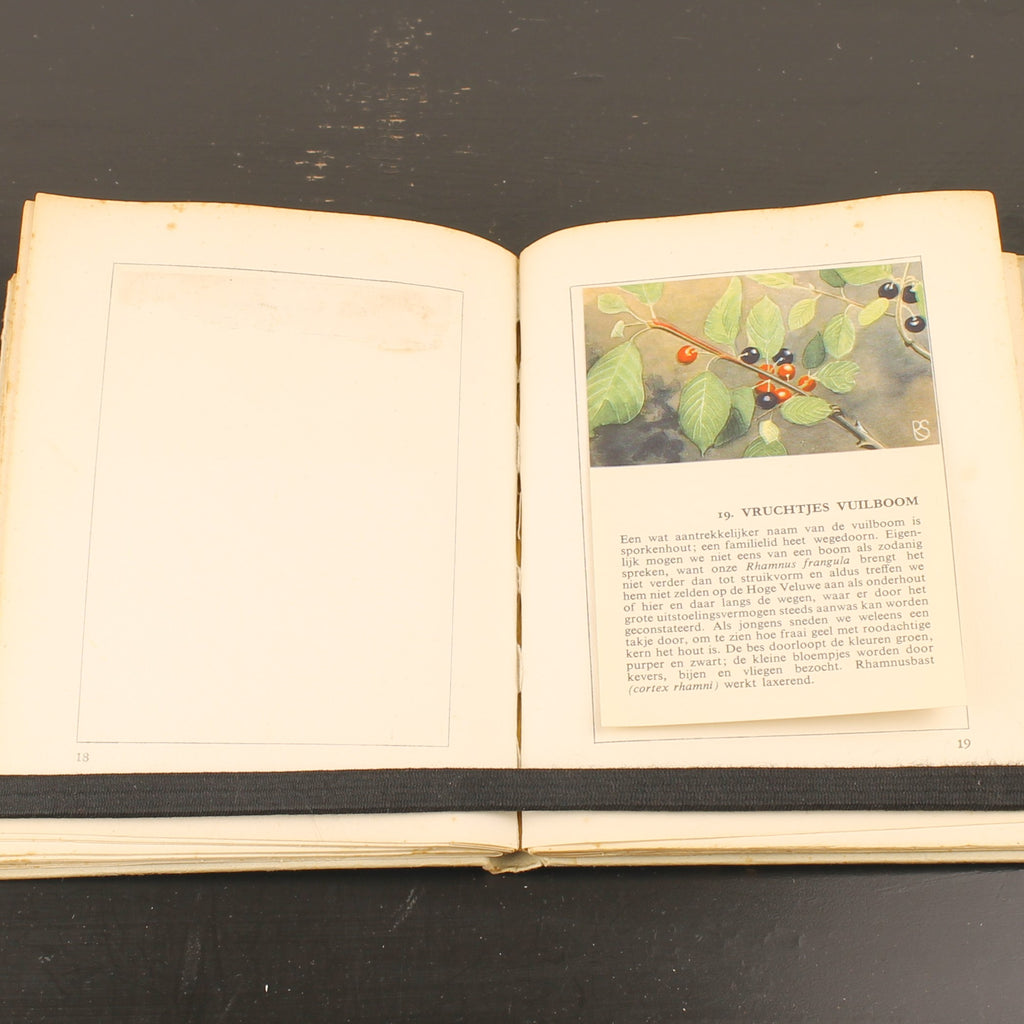 Hille Zakalbums – De Hoge Veluwe I, II & III – Albums d'épargne de l'entre-deux-guerres – Rein Stuurman – ca. années 1930