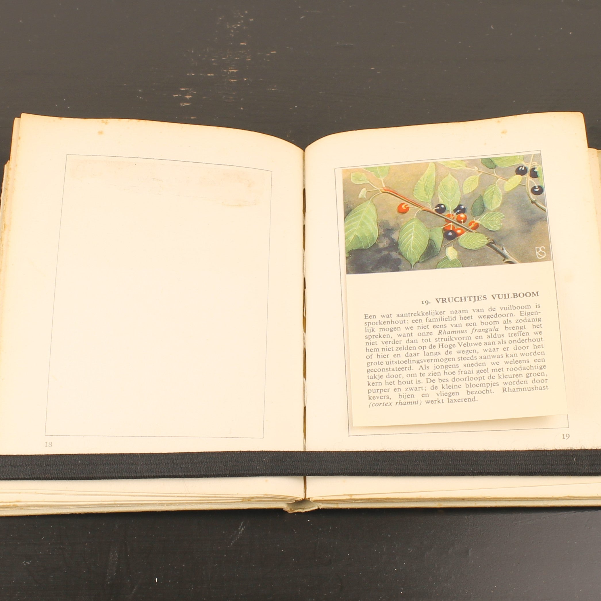 Hille Zakalbums – De Hoge Veluwe I, II & III – Albums d'épargne de l'entre-deux-guerres – Rein Stuurman – ca. années 1930