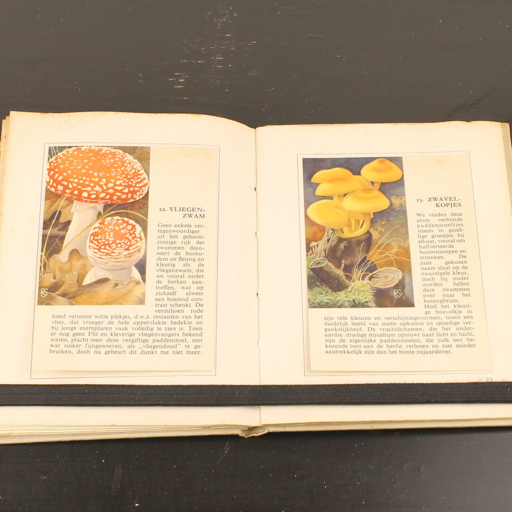 Hille Zakalbums – De Hoge Veluwe I, II & III – Albums d'épargne de l'entre-deux-guerres – Rein Stuurman – ca. années 1930