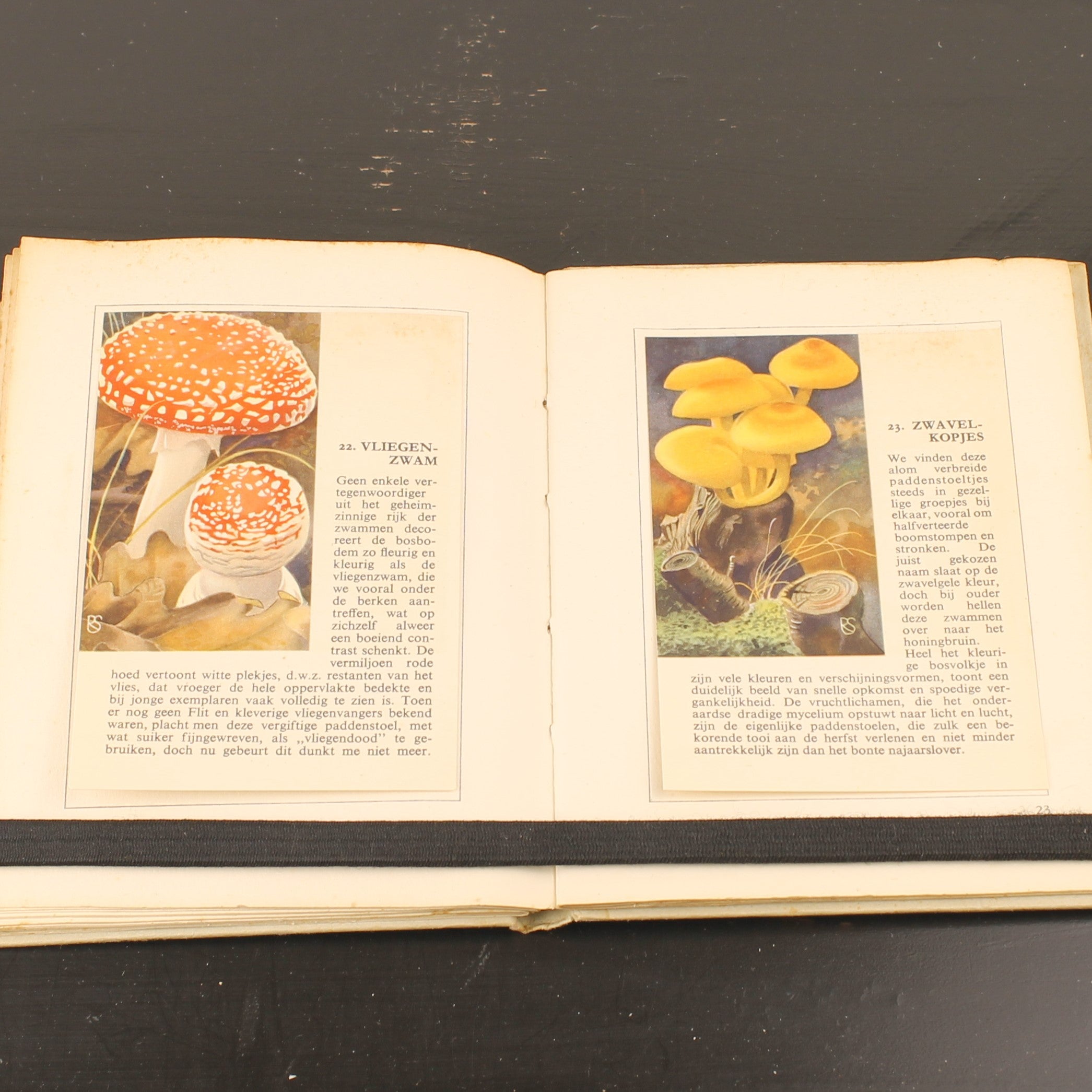 Hille Zakalbums – De Hoge Veluwe I, II & III – Albums d'épargne de l'entre-deux-guerres – Rein Stuurman – ca. années 1930