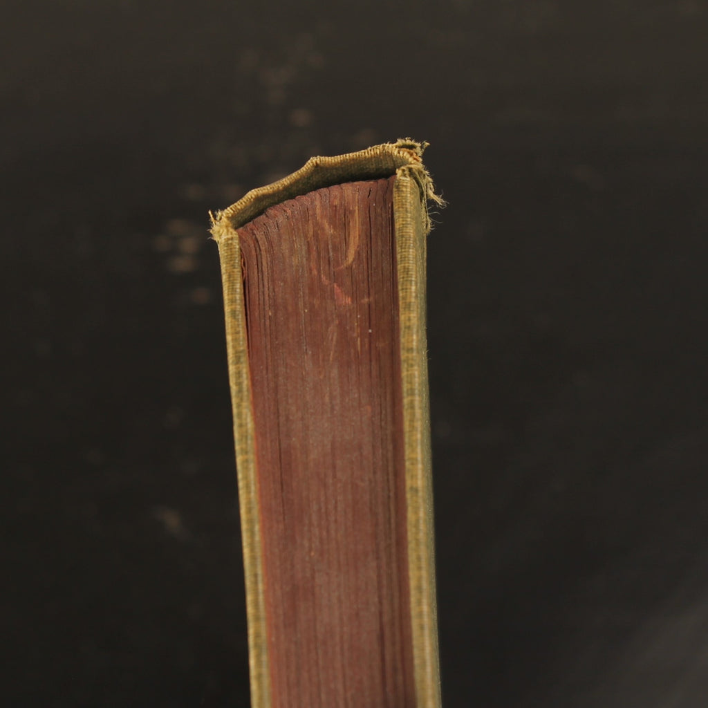 Little Lord Fauntleroy - Frances H. Burnett - P. Noordhoff Groningen 1900