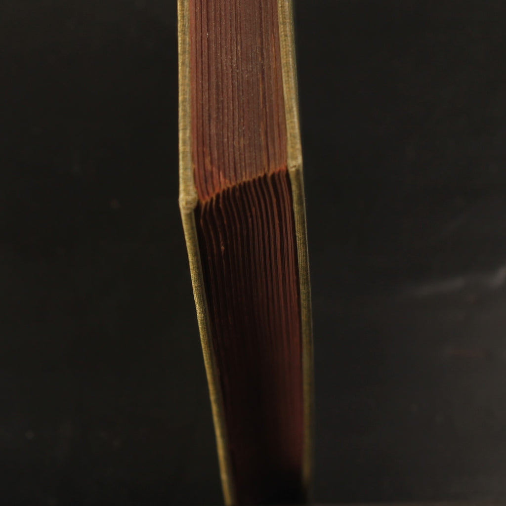 Little Lord Fauntleroy - Frances H. Burnett - P. Noordhoff Groningen 1900