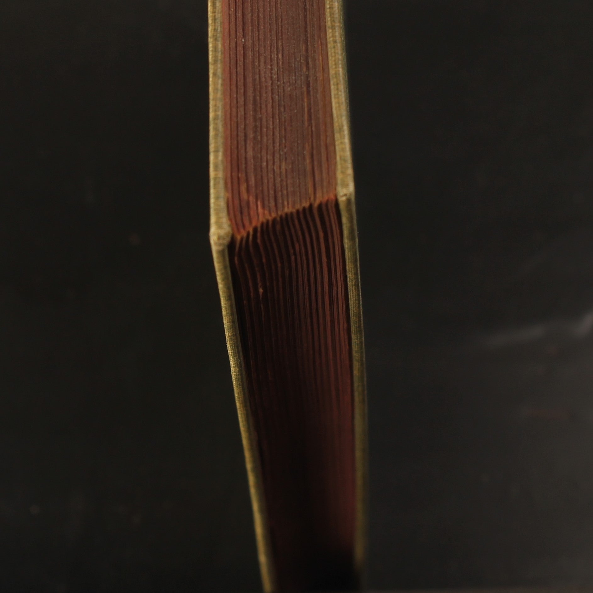 Little Lord Fauntleroy - Frances H. Burnett - P. Noordhoff Groningen 1900