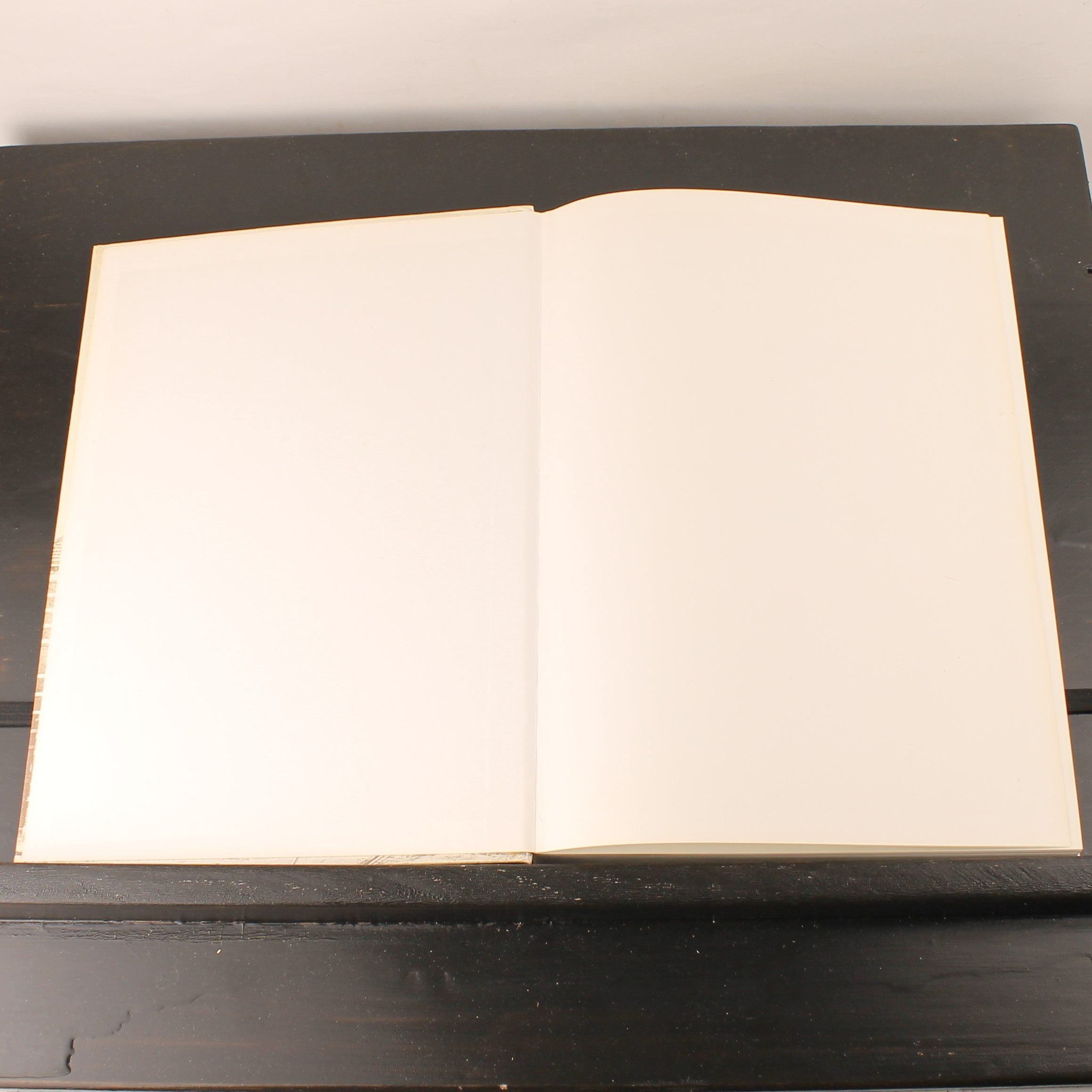 Bezuidenhout 1985 – The Hague Neighbourhood History & WWII – Hardcover