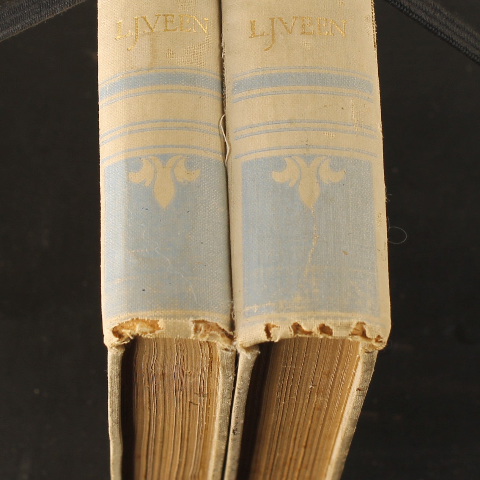 Antique 2-Piece Set “From White Cities under Blue Skies” – Louis Couperus – 1912/1913 – Large Format