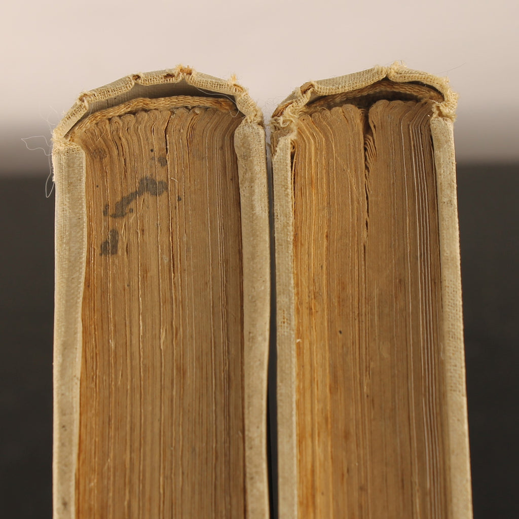 Antique 2-Piece Set “From White Cities under Blue Skies” – Louis Couperus – 1912/1913 – Large Format