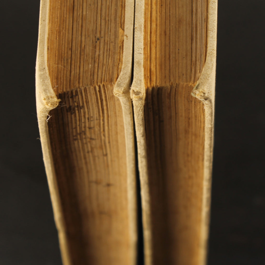 Antique 2-Piece Set “From White Cities under Blue Skies” – Louis Couperus – 1912/1913 – Large Format