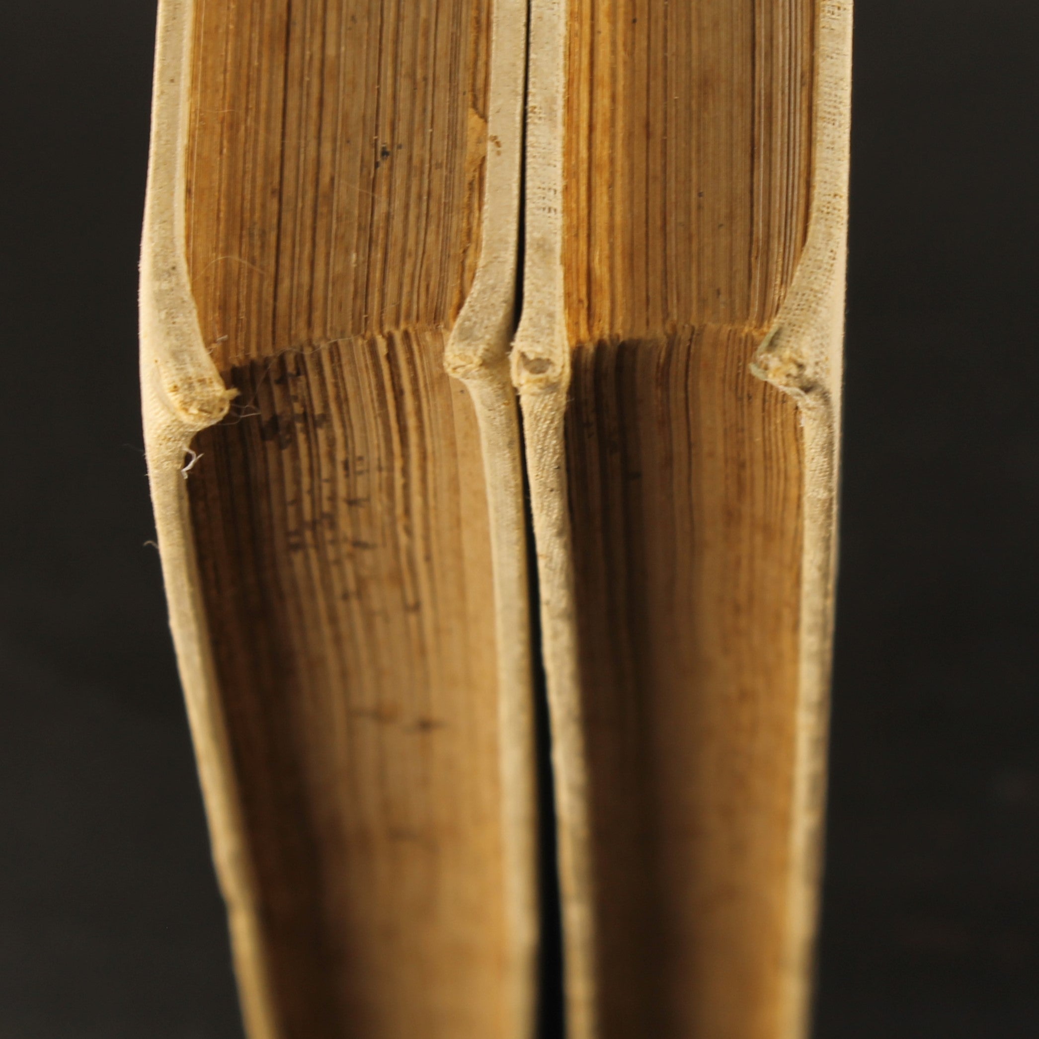 Antique 2-Piece Set “From White Cities under Blue Skies” – Louis Couperus – 1912/1913 – Large Format