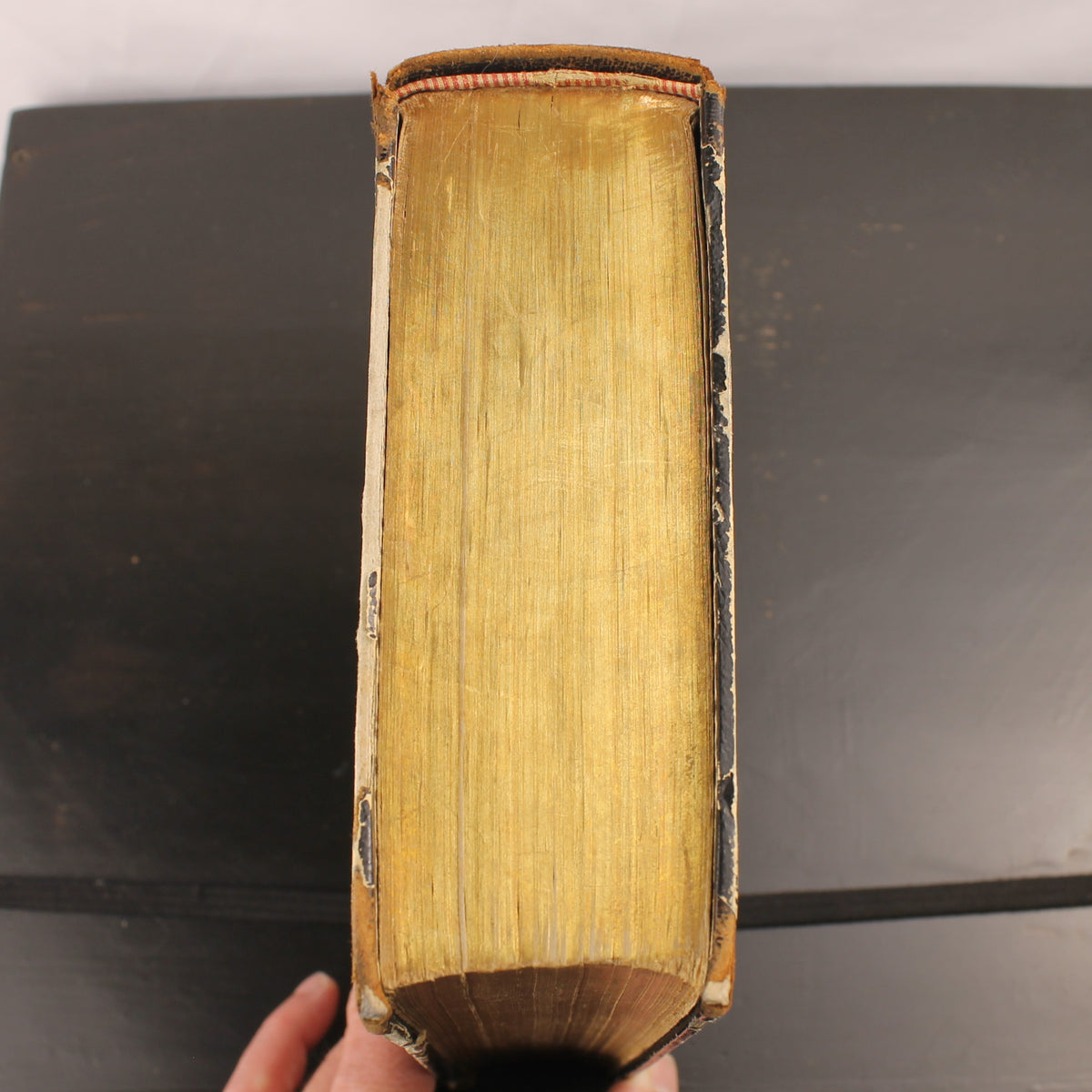 Cette Bible ou les Saintes Écritures complètes de l’Ancien et du Nouveau Testament (1868) - B. G. Teubner, Leipzig
