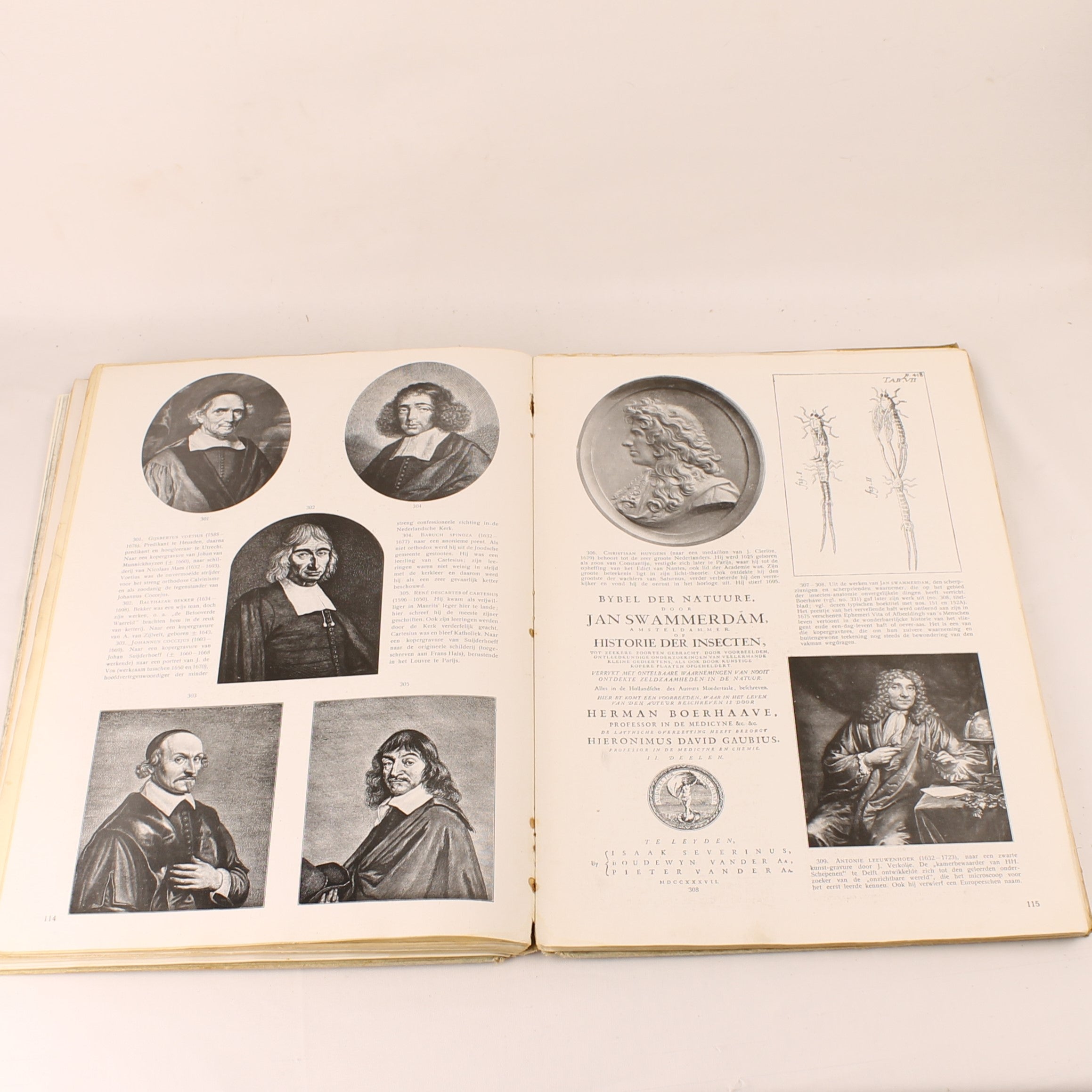 Antique Plate Atlas for National History – Third Edition 1917 – Large Format 31 cm