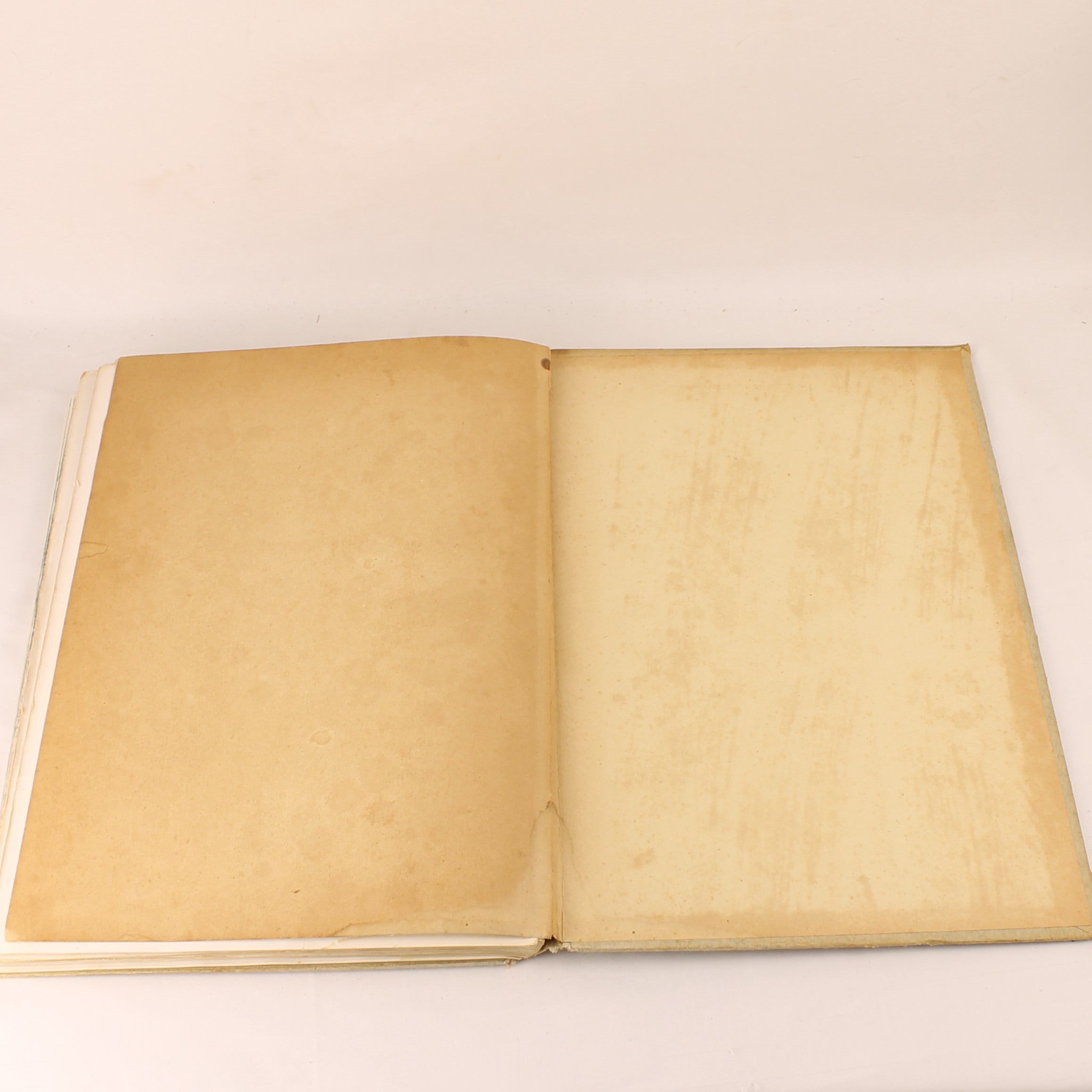 Antique Plate Atlas for National History – Third Edition 1917 – Large Format 31 cm