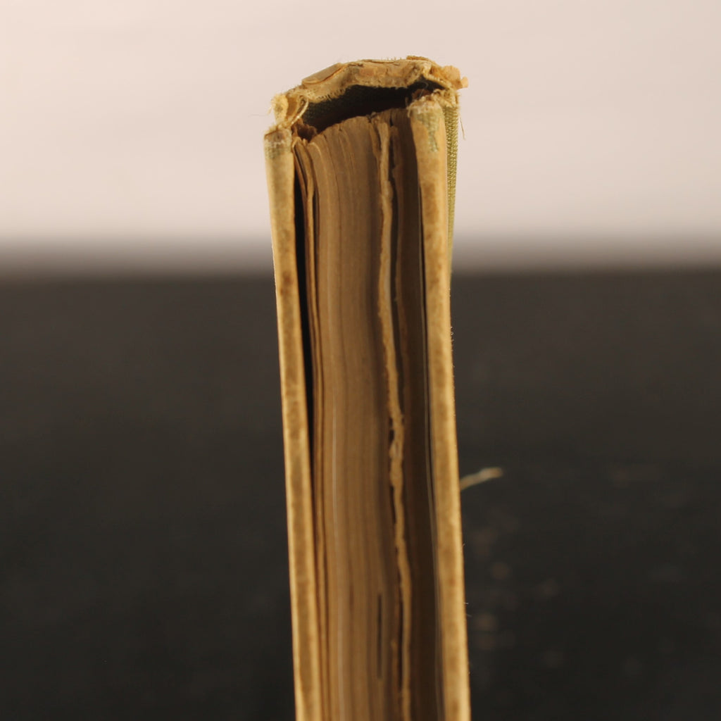 Antique Plate Atlas for National History – Third Edition 1917 – Large Format 31 cm