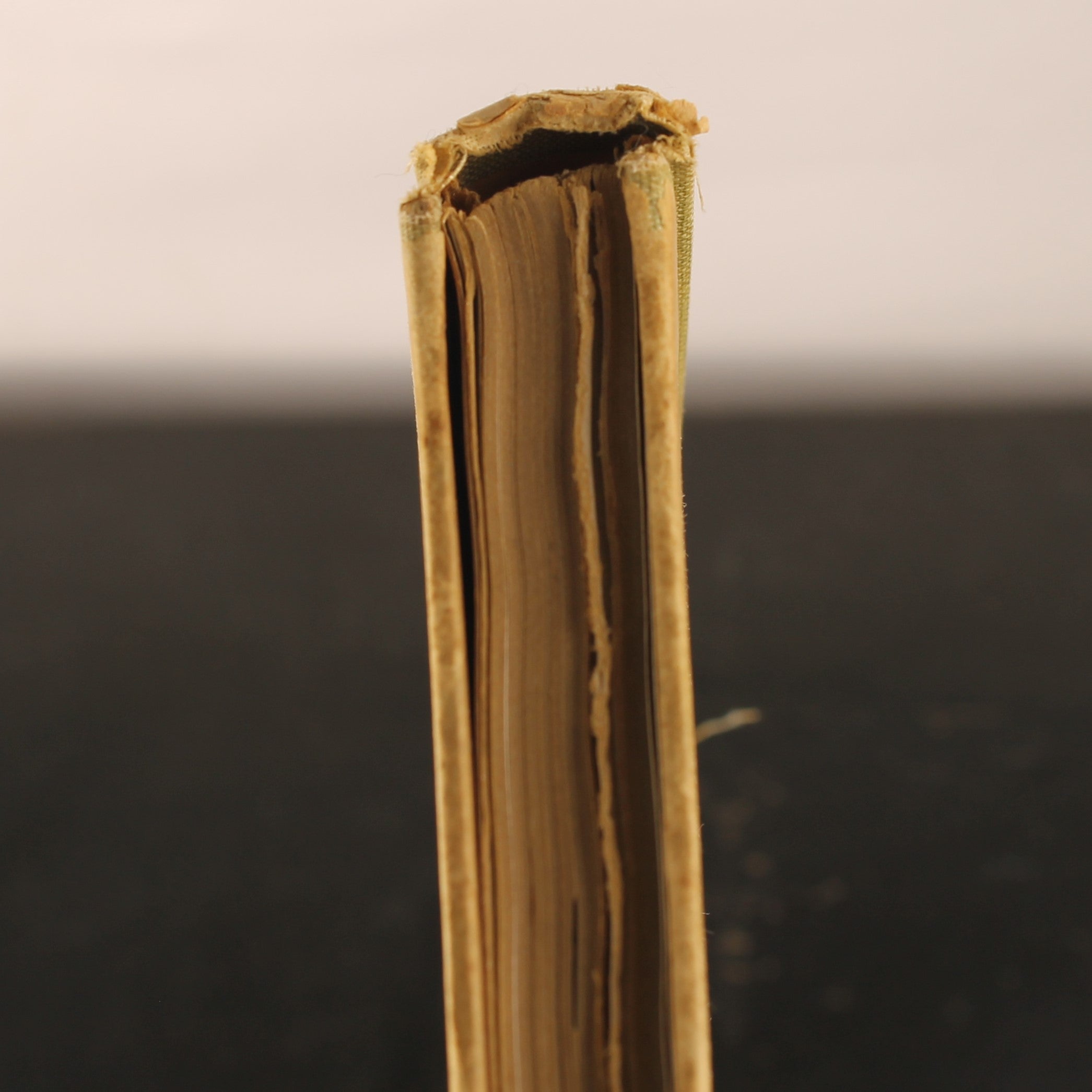 Antique Plate Atlas for National History – Third Edition 1917 – Large Format 31 cm