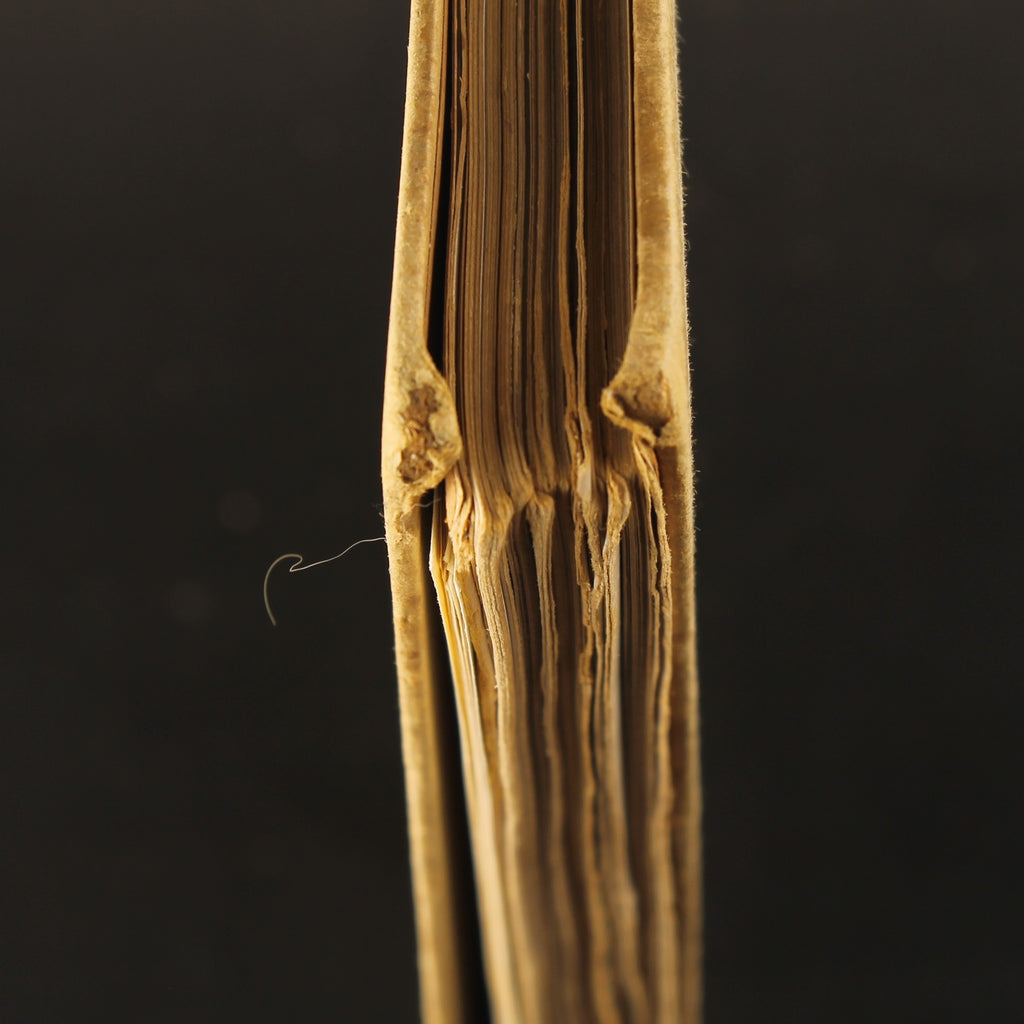 Antique Plate Atlas for National History – Third Edition 1917 – Large Format 31 cm