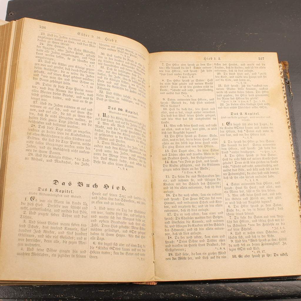 Cette Bible ou les Saintes Écritures complètes de l’Ancien et du Nouveau Testament (1868) - B. G. Teubner, Leipzig