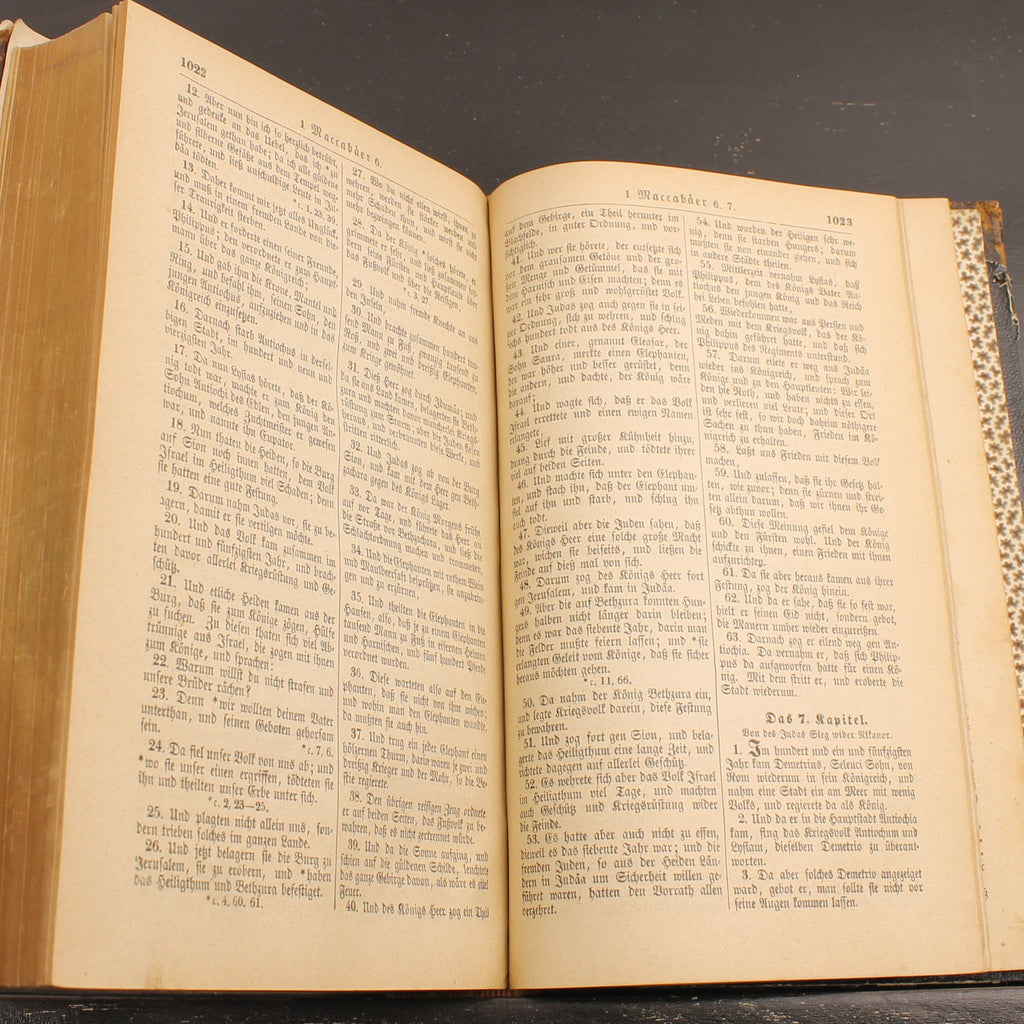 Cette Bible ou les Saintes Écritures complètes de l’Ancien et du Nouveau Testament (1868) - B. G. Teubner, Leipzig