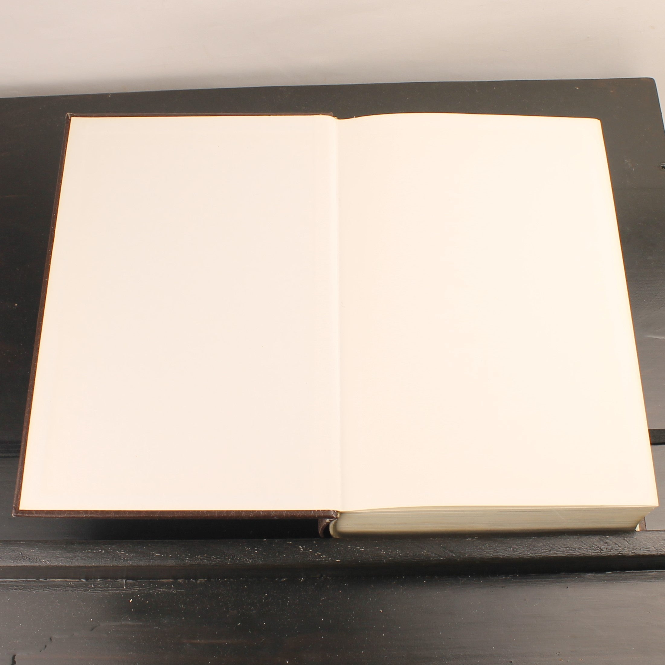 WP Encyclopedie Deel 2 (1967) – Winkler Prins – Vintage Jaren ’60 – Elsevier