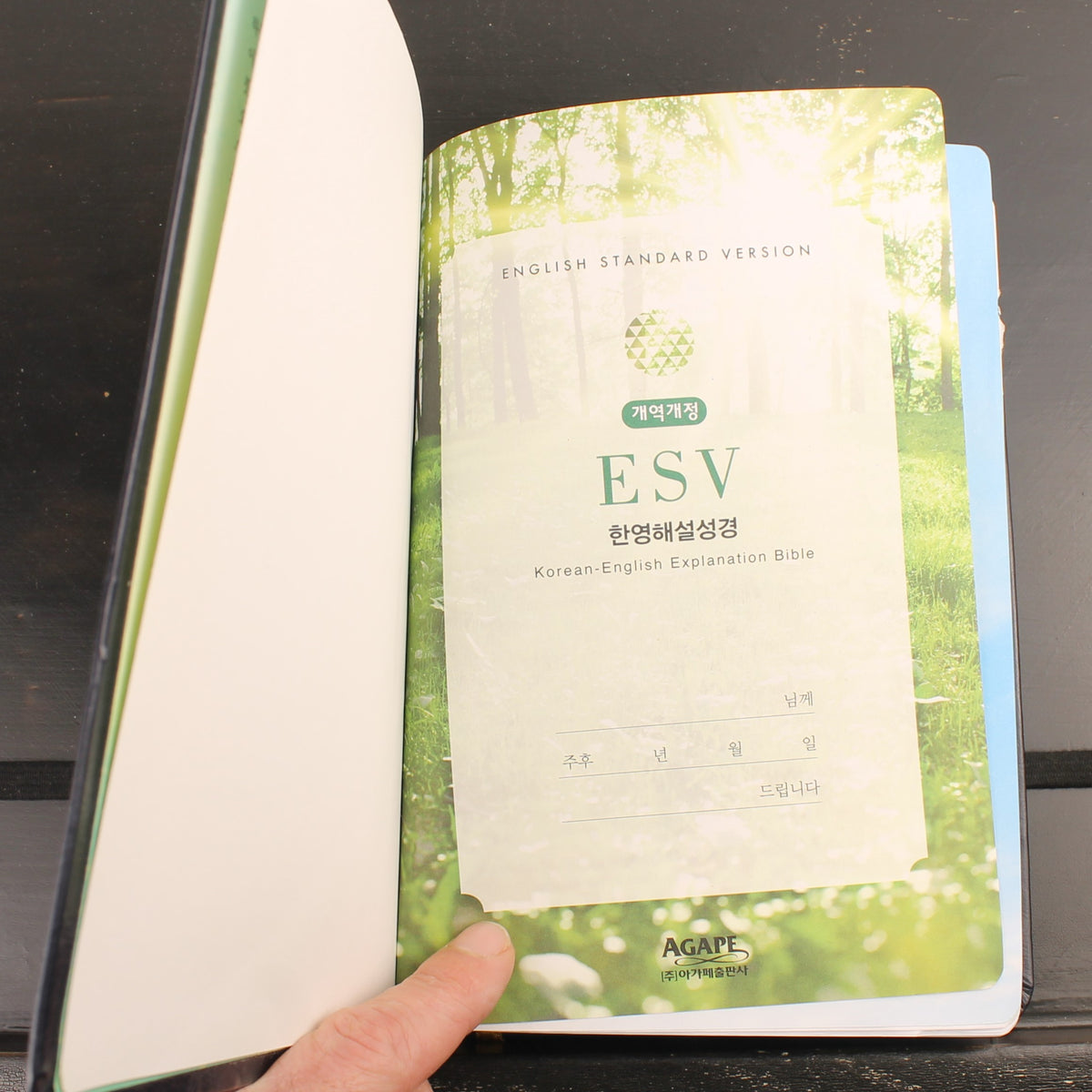 Koreaans-Engelse ESV Bijbel - Agape - New Korean Revised Version - ca. 2016