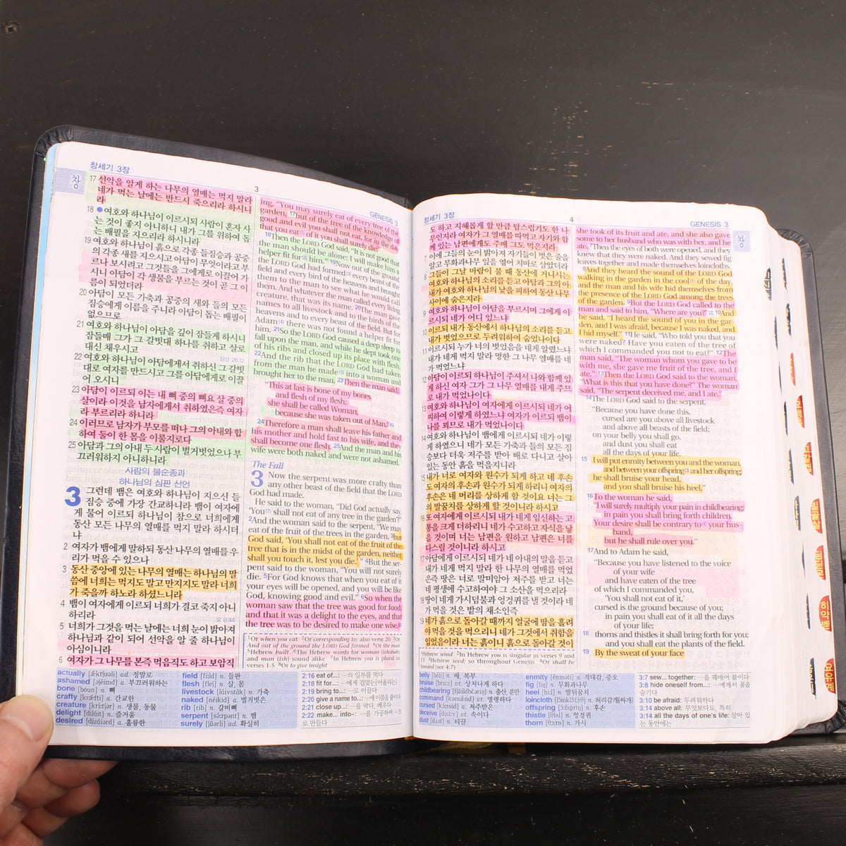 Koreaans-Engelse ESV Bijbel - Agape - New Korean Revised Version - ca. 2016
