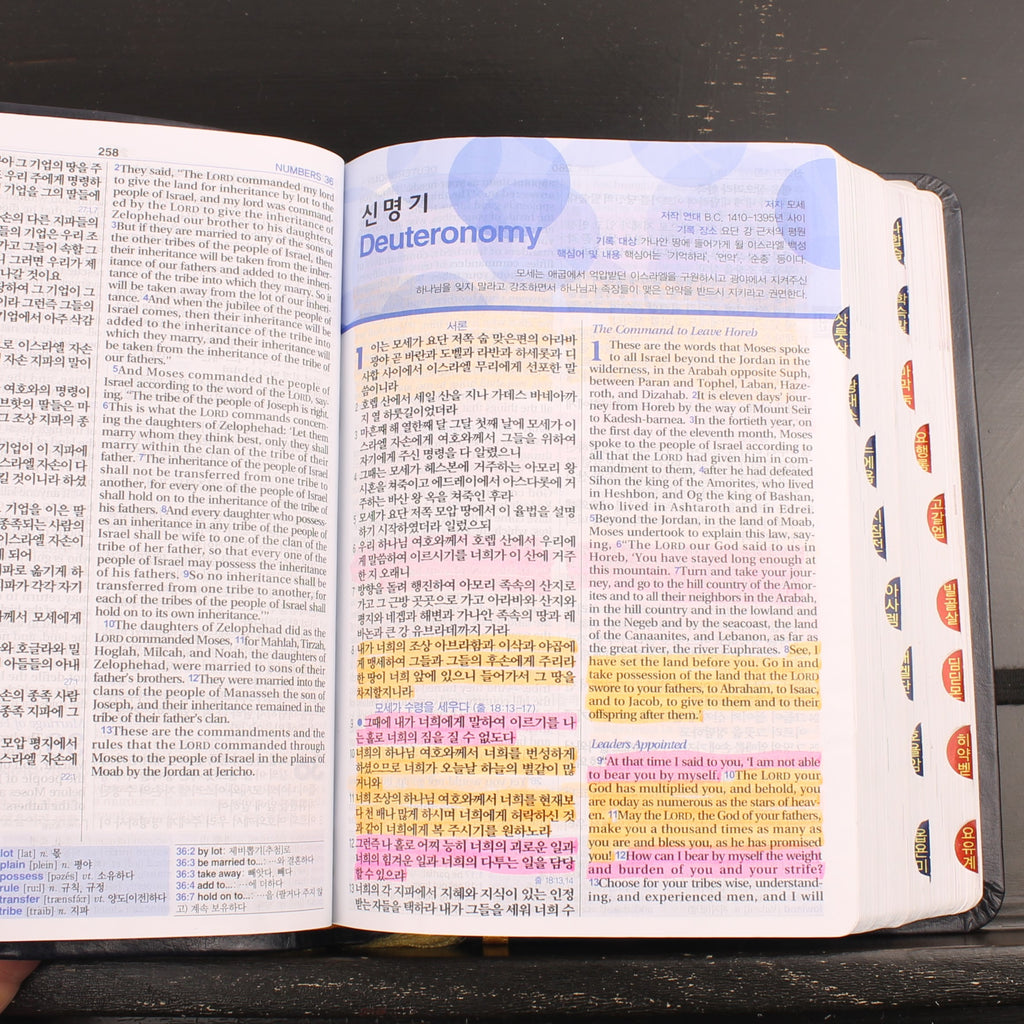 Koreaans-Engelse ESV Bijbel - Agape - New Korean Revised Version - ca. 2016