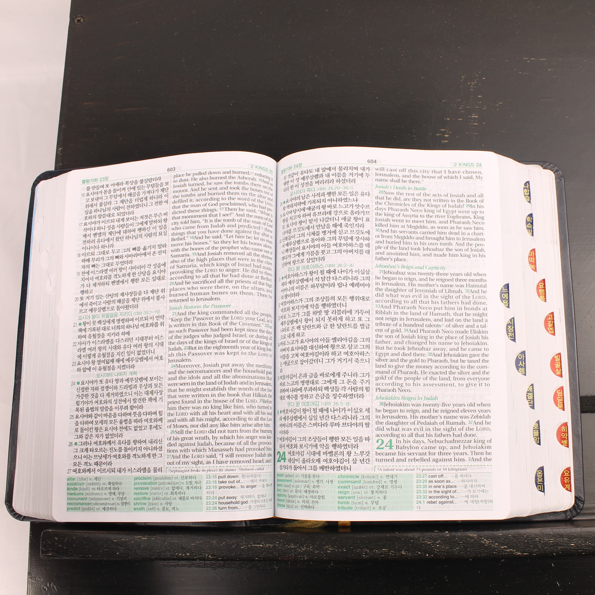 Koreaans-Engelse ESV Bijbel - Agape - New Korean Revised Version - ca. 2016
