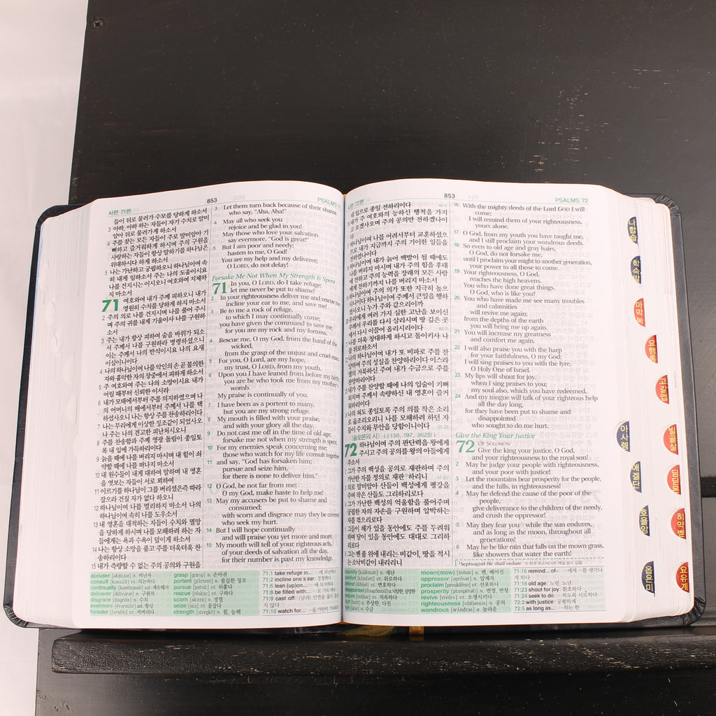 Koreaans-Engelse ESV Bijbel - Agape - New Korean Revised Version - ca. 2016