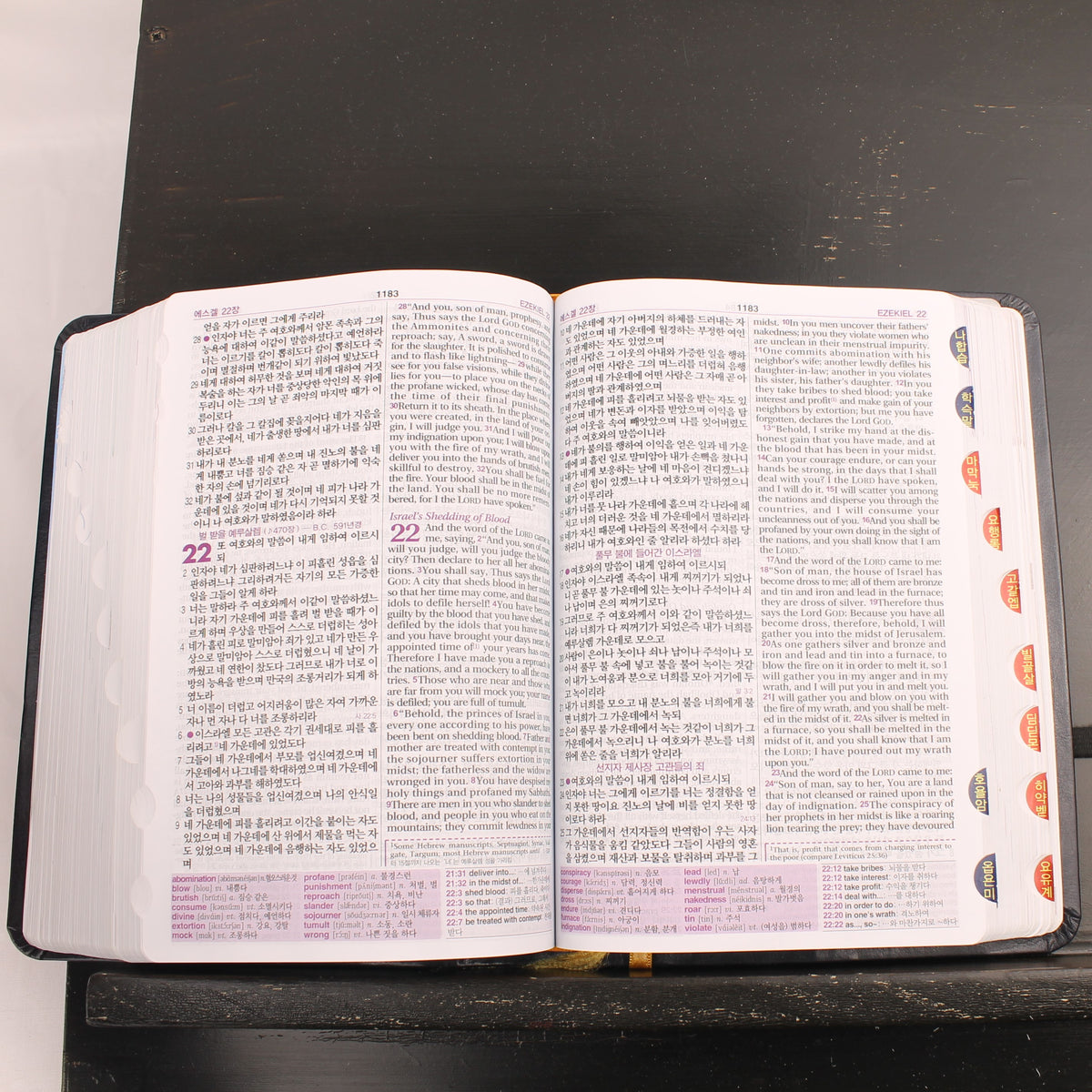 Koreaans-Engelse ESV Bijbel - Agape - New Korean Revised Version - ca. 2016