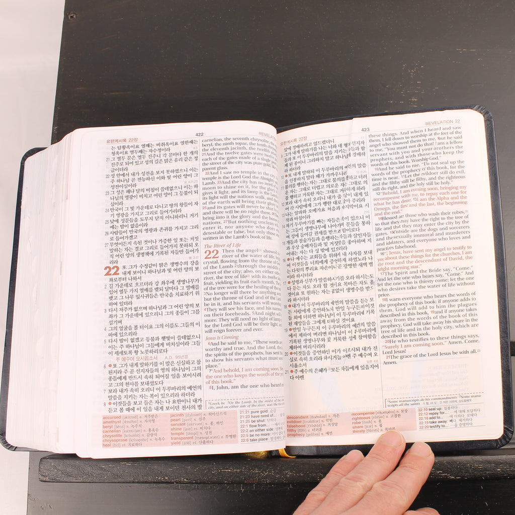 Koreaans-Engelse ESV Bijbel - Agape - New Korean Revised Version - ca. 2016