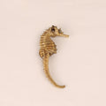 Gedroogd Zeepaardje – Natural History Curiosa