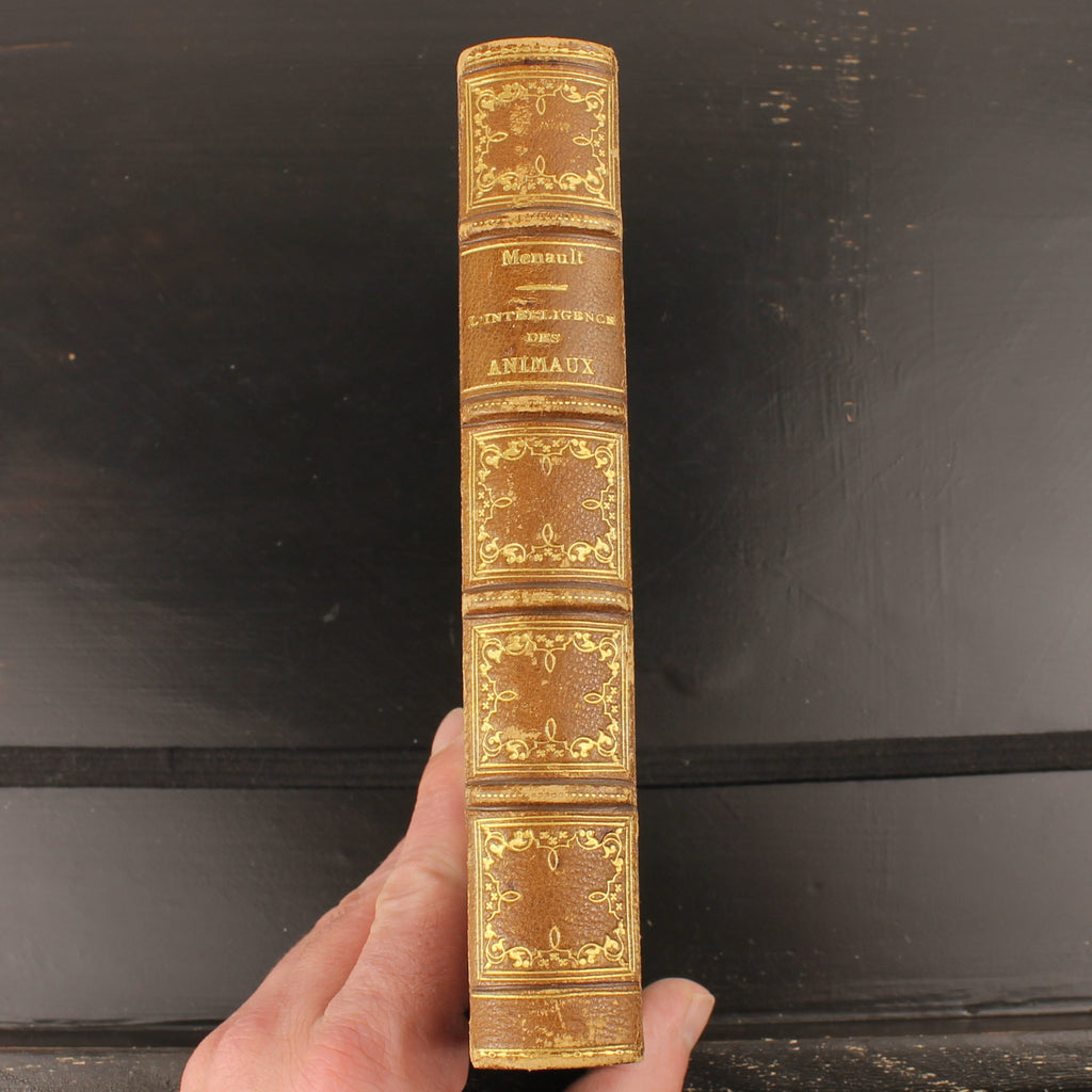 L’Intelligence des Animaux - Ernest Menault - Eerste Editie 1868 - 58 Gravures
