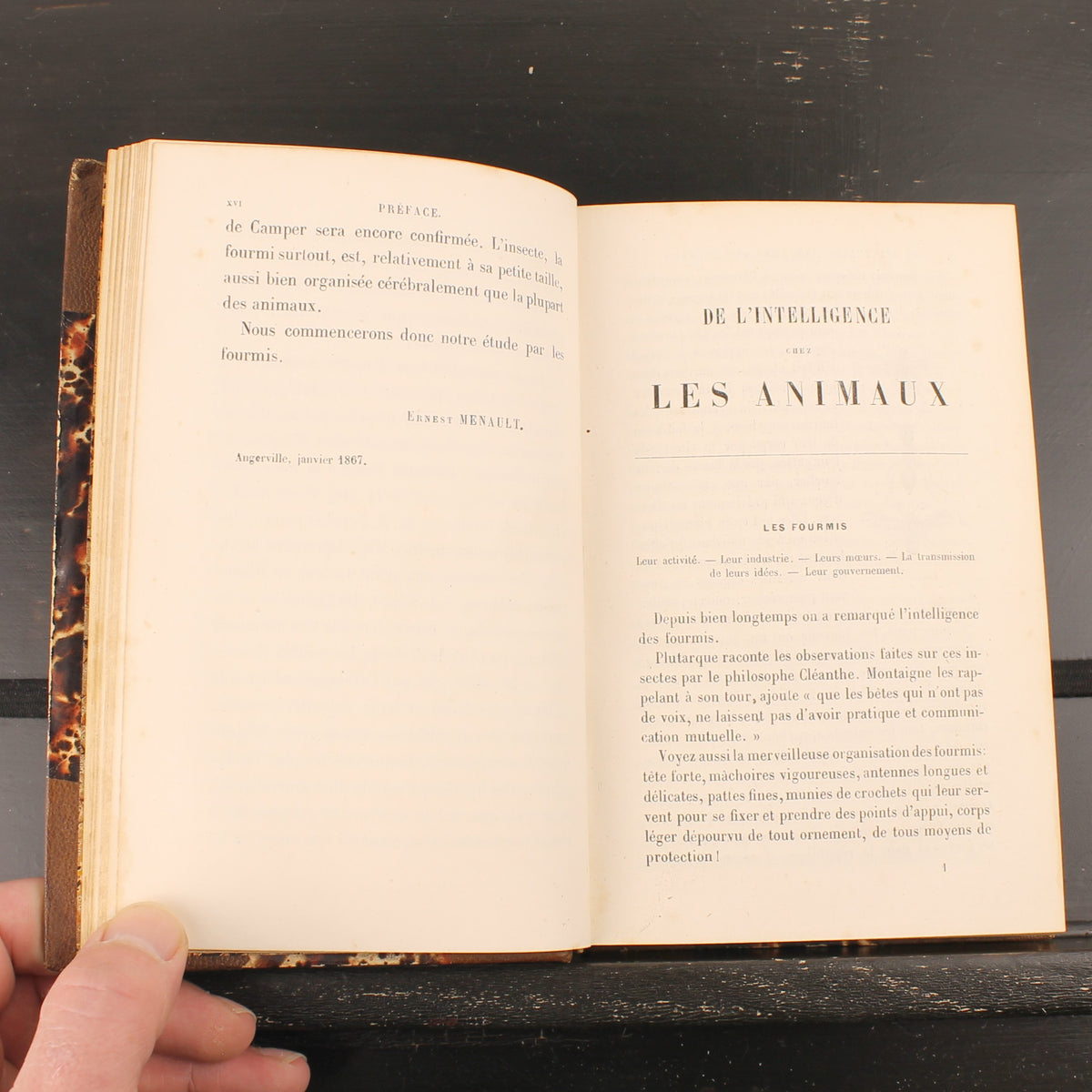 L’Intelligence des Animaux - Ernest Menault - Eerste Editie 1868 - 58 Gravures