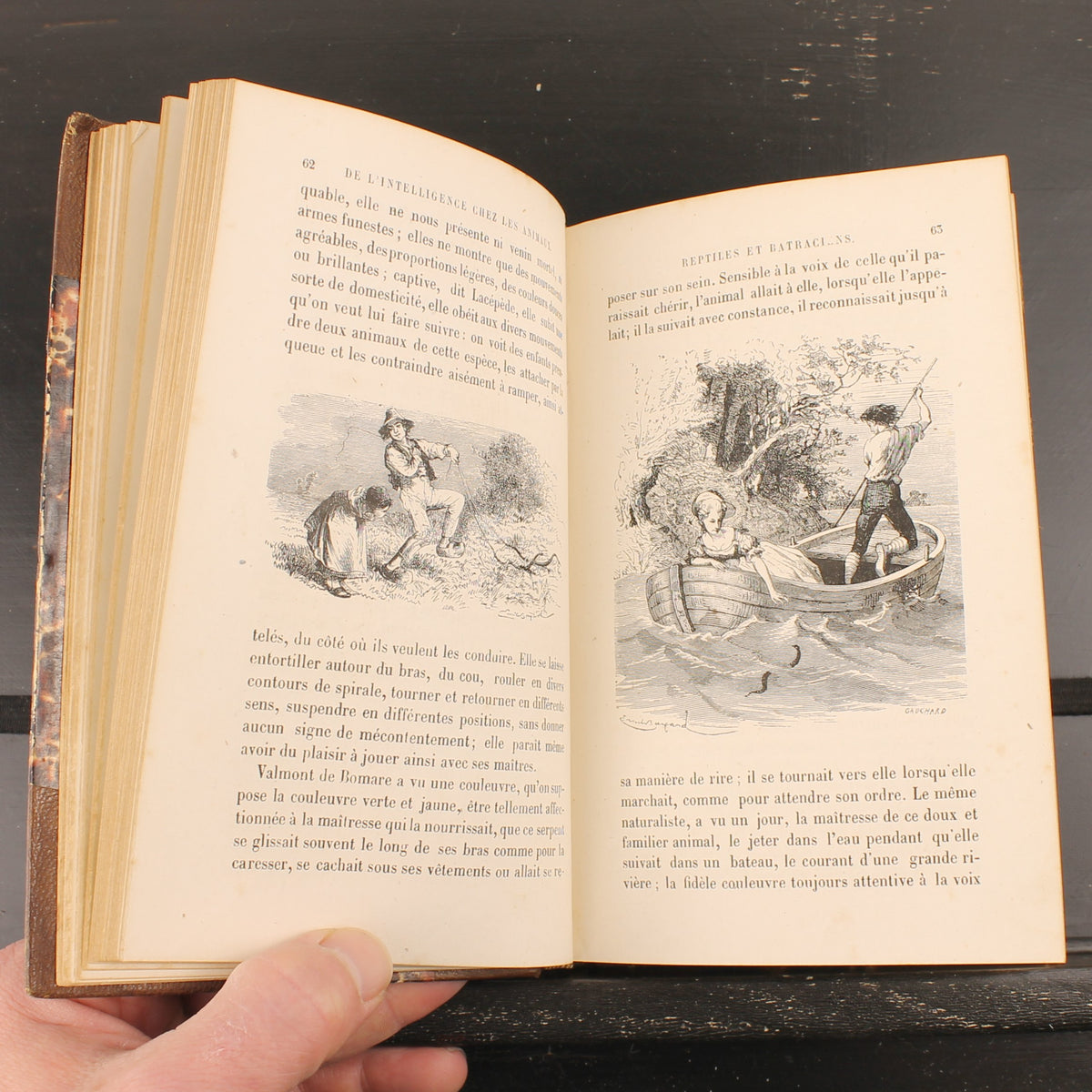 L’Intelligence des Animaux - Ernest Menault - Eerste Editie 1868 - 58 Gravures