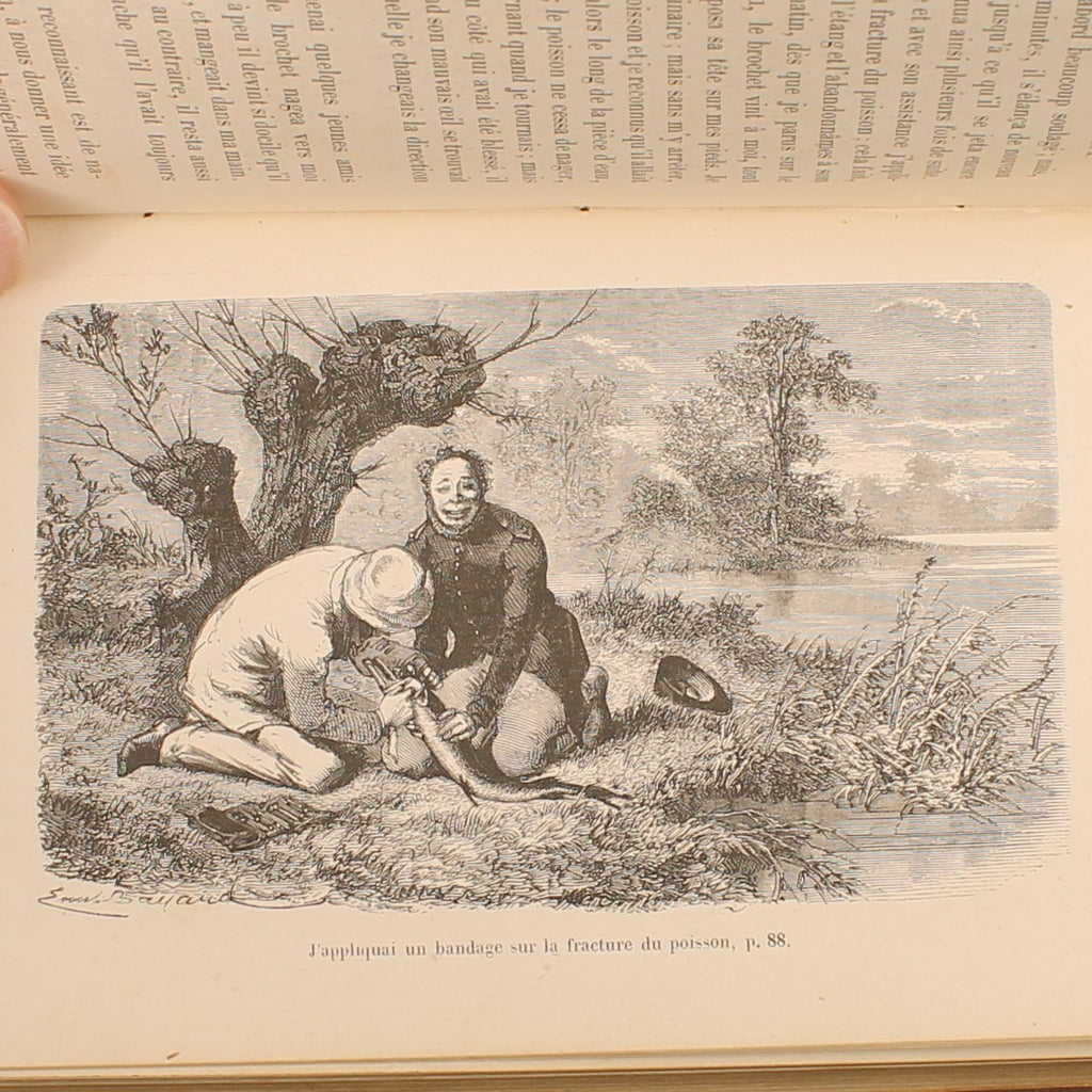 L’Intelligence des Animaux - Ernest Menault - Eerste Editie 1868 - 58 Gravures