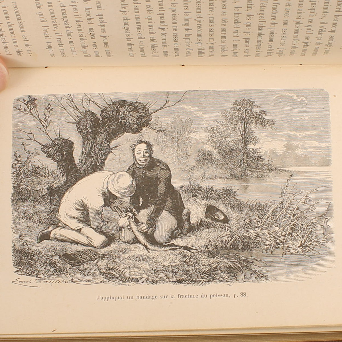 L’Intelligence des Animaux - Ernest Menault - Eerste Editie 1868 - 58 Gravures