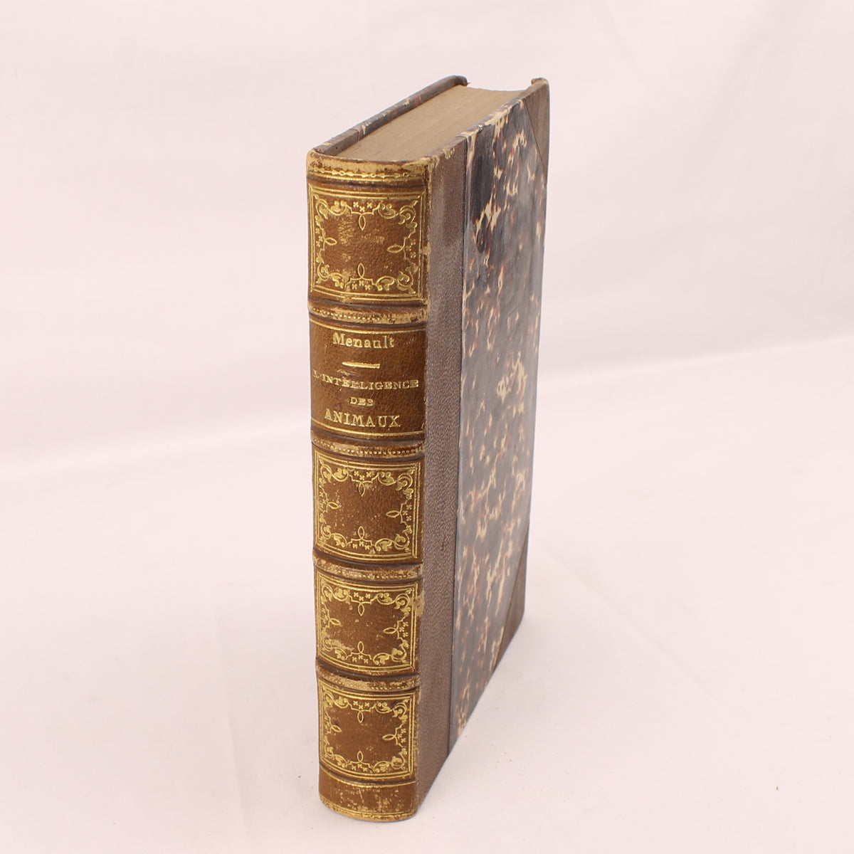 L’Intelligence des Animaux - Ernest Menault - Eerste Editie 1868 - 58 Gravures