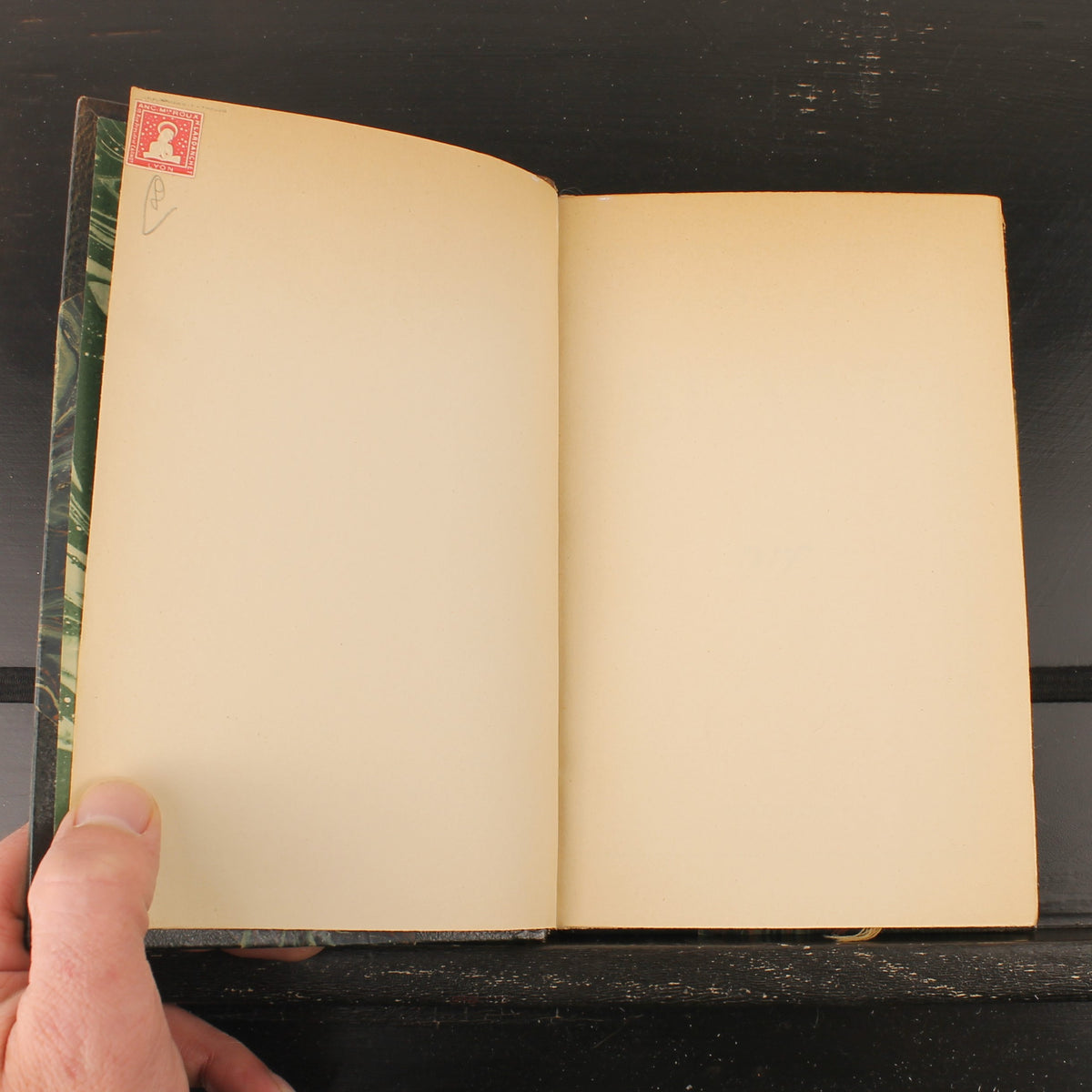 Louis Francis – Blanc | Gallimard 1934 | Genummerd 27/220 | Halfleren Band