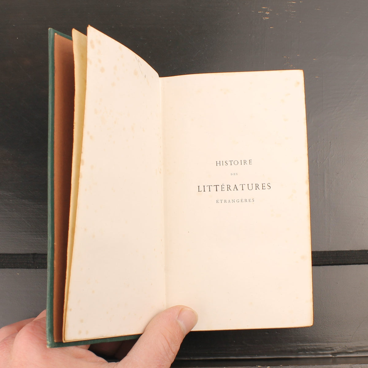 Eugène Hallberg – Histoire des Littératures Étrangères | Complete Set 1879-1880 | Petite Collection Lemerre