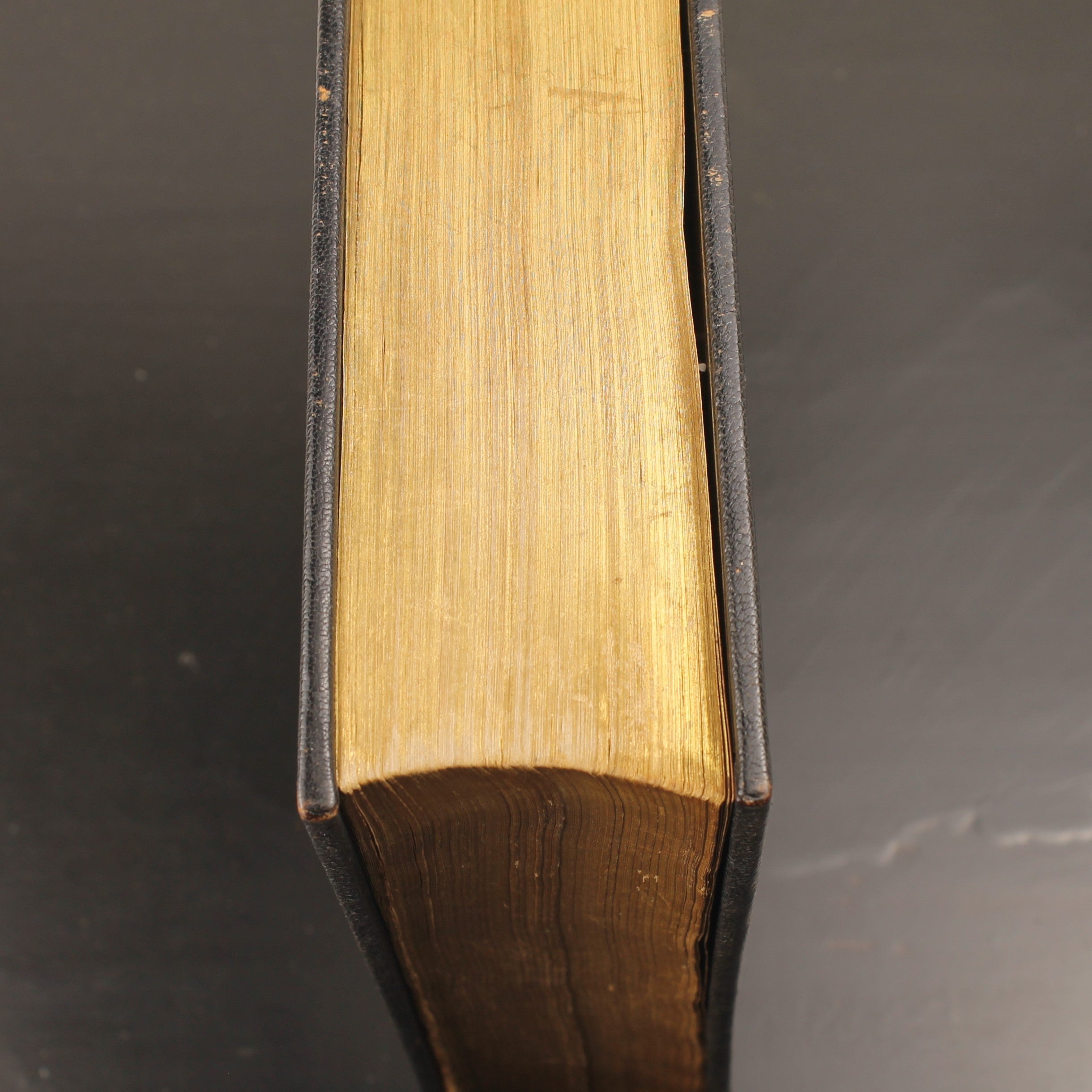 Dutch Authorized Version Bible 1931 – Publishers’ Society “Biblia” Leeuwarden – Gilt Edges – 25cm