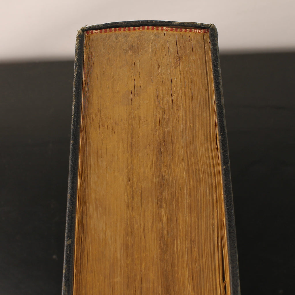 Bible de Louvain vers 1930 – A. Jongbloed Leeuwarden – 28cm – Édition religieuse extra-épaisse