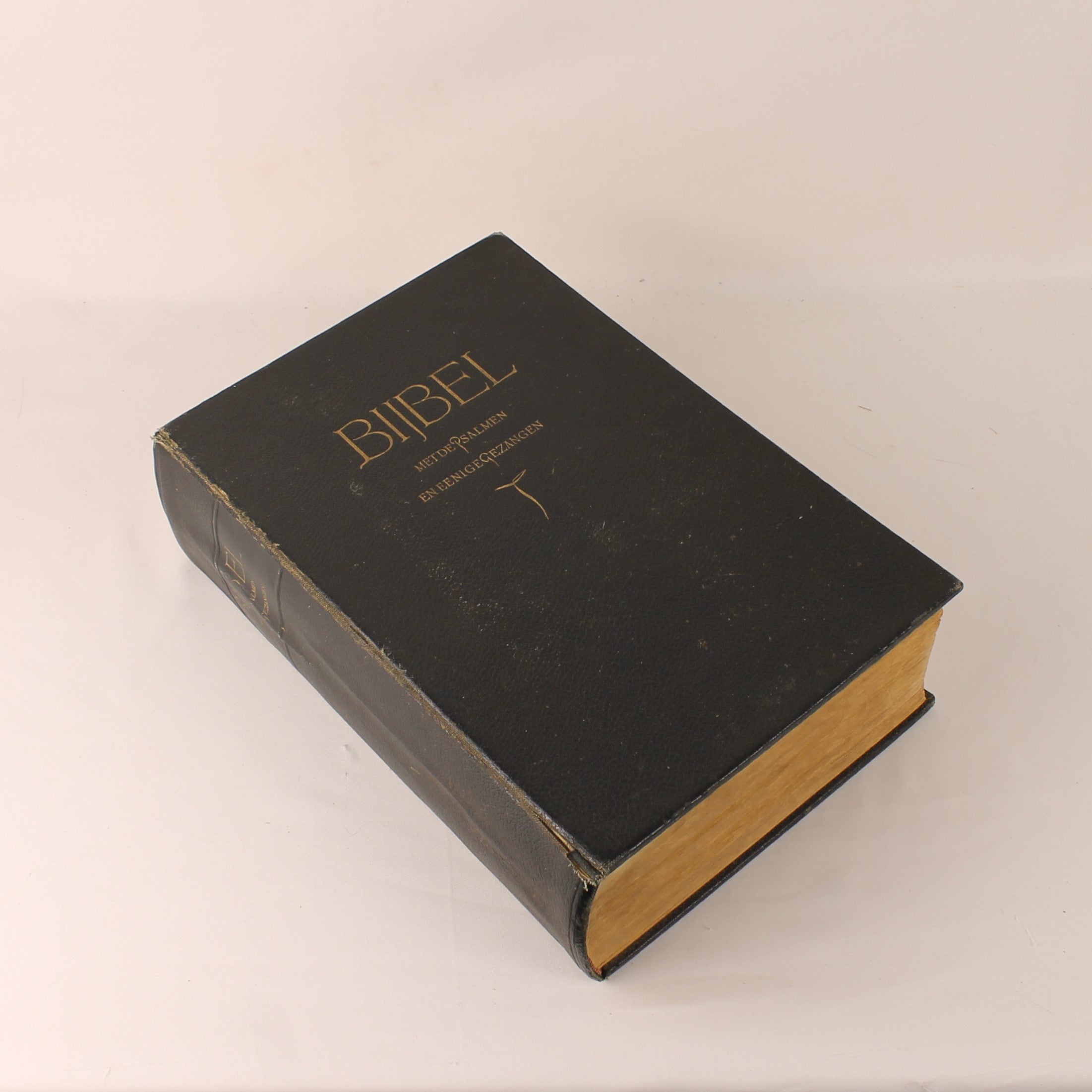 Black Bible with gold lettering on a beige background