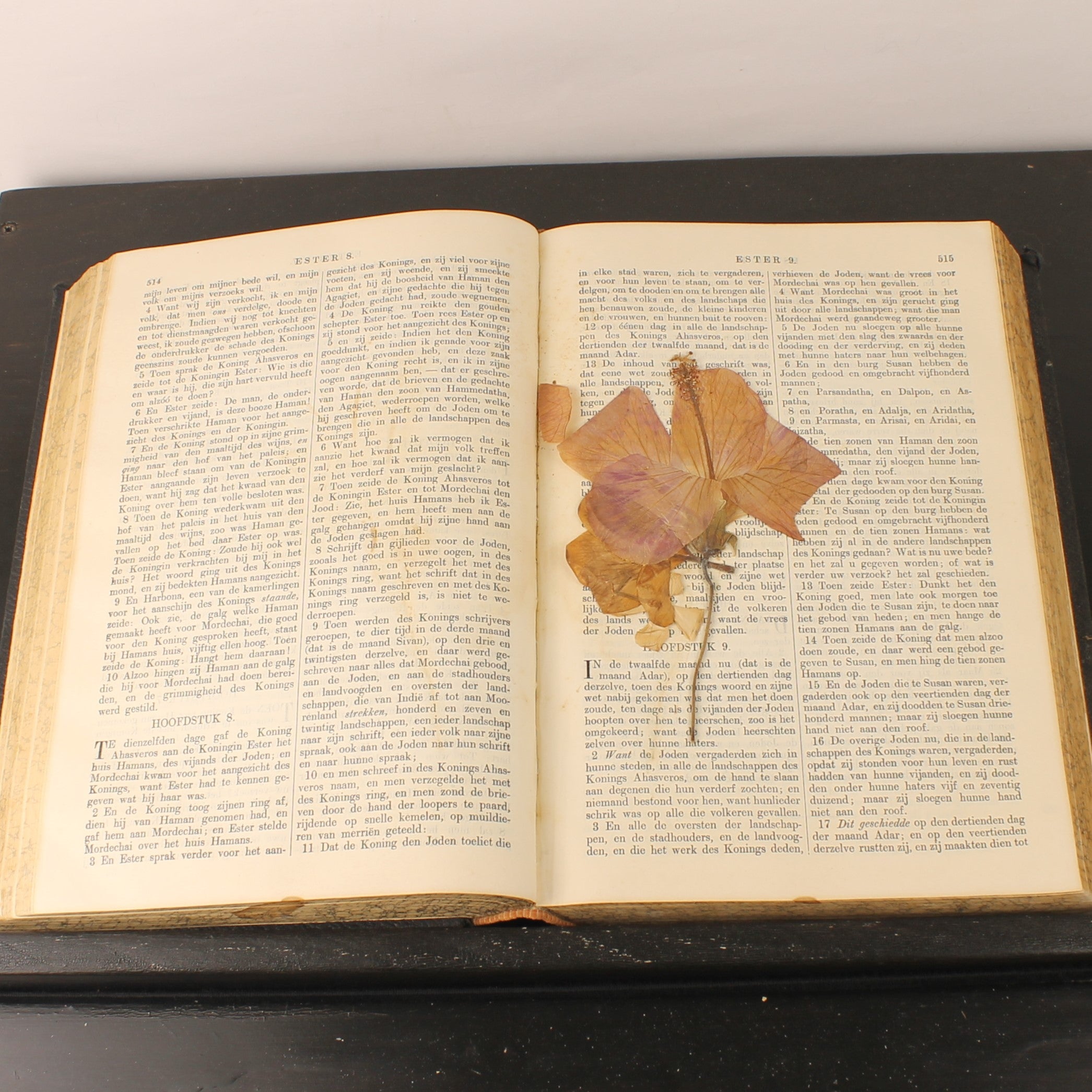 Wedding Bible 1927 – Netherlands Bible Society Amsterdam – 28cm