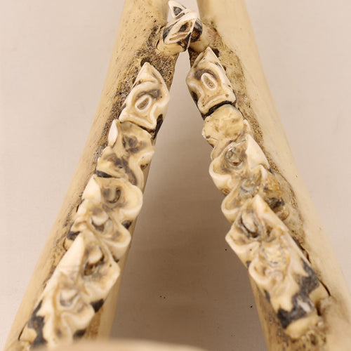 Mâchoires de bœuf Ankole-Watusi (lot de 2) – Curiosité vintage – 39 cm