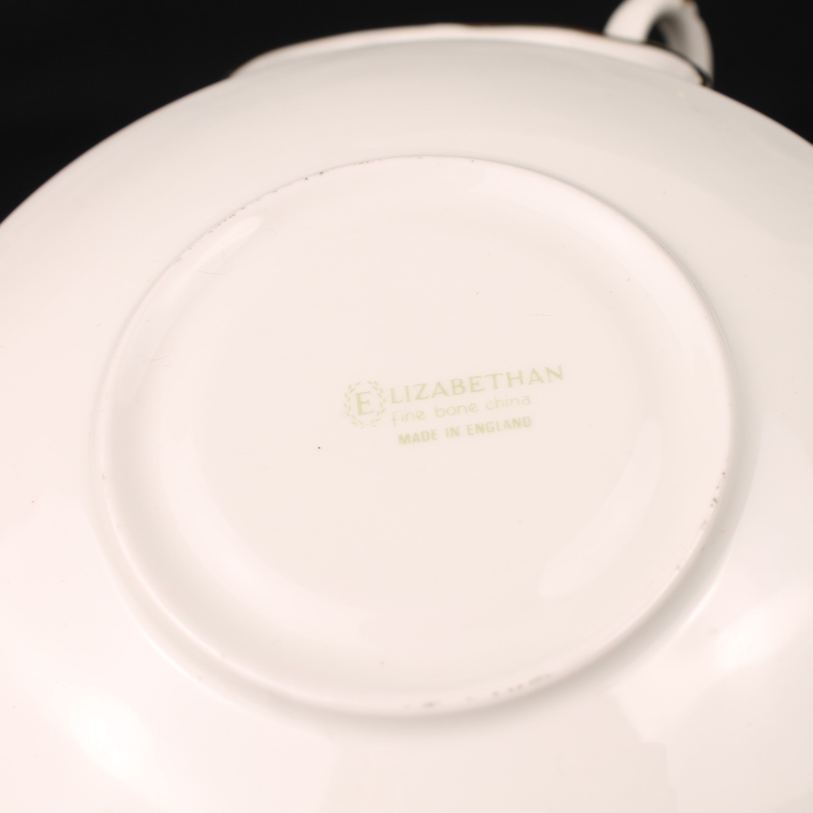 Elizabethan Fine Bone China Cup and Saucer – Exotic Bird with Pink Band and Gilding