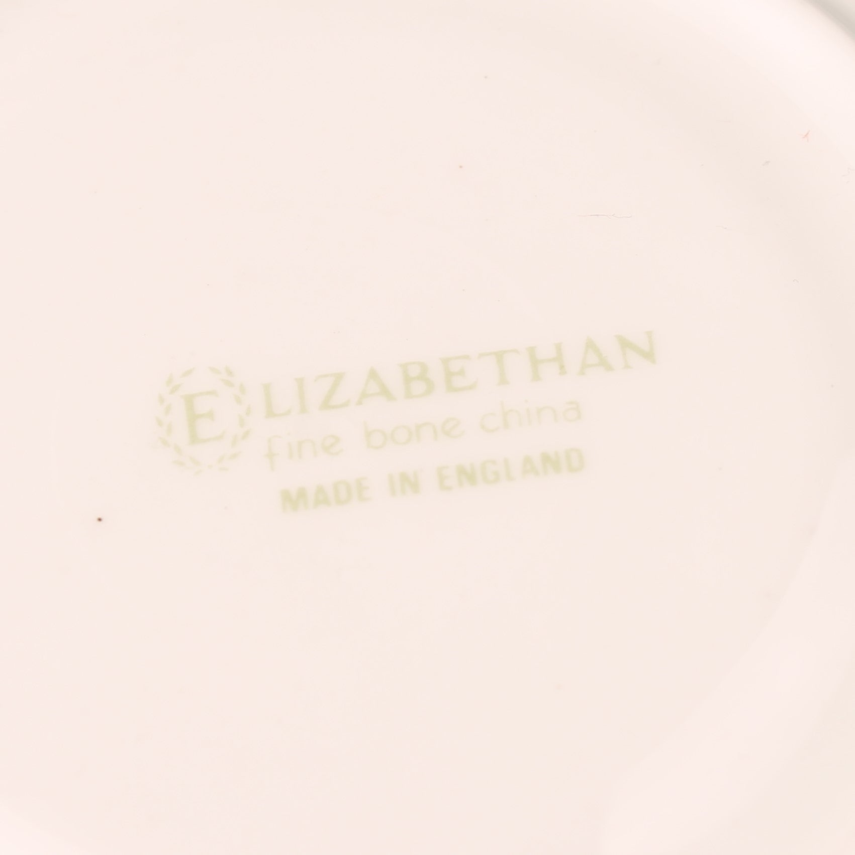 Elizabethan Fine Bone China Cup and Saucer – Exotic Bird with Pink Band and Gilding