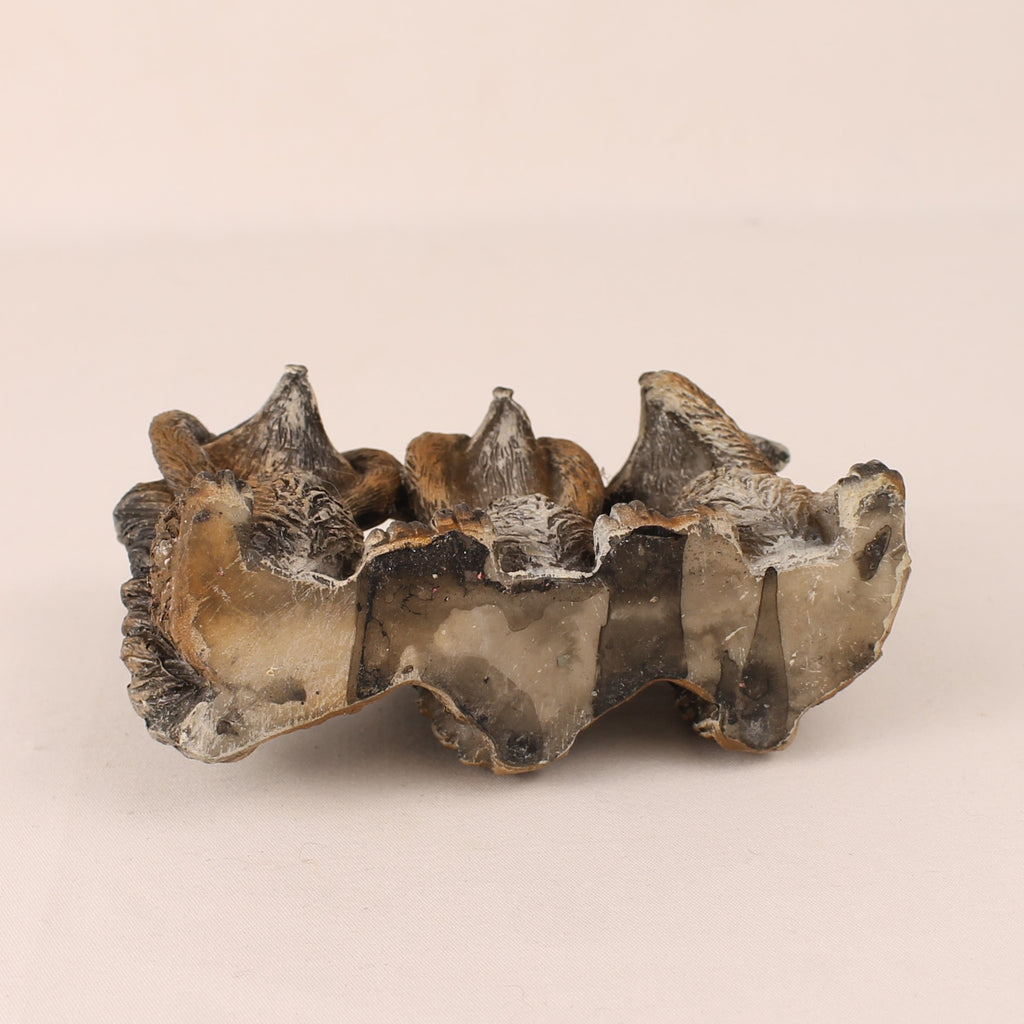 Statue Décorative Trois Ratons Laveurs – Ne Rien Voir Ne Rien Entendre – Sculpture en Résine