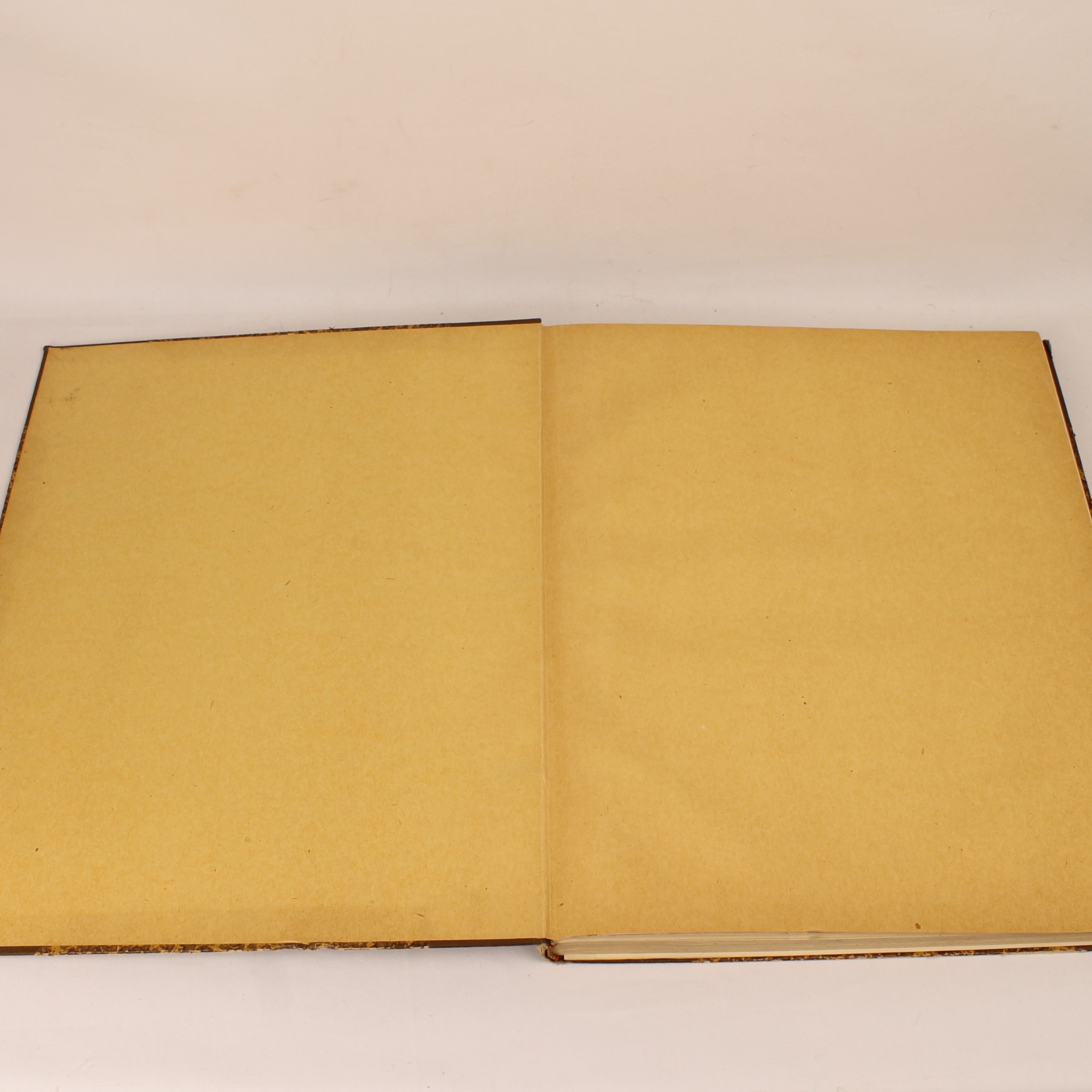 Édition Ancienne “Contes de Ma Mère l'Oye” – Gravures de Gustave Doré – D. Bolle Rotterdam – vers 1900 – In-folio de 33,5 cm