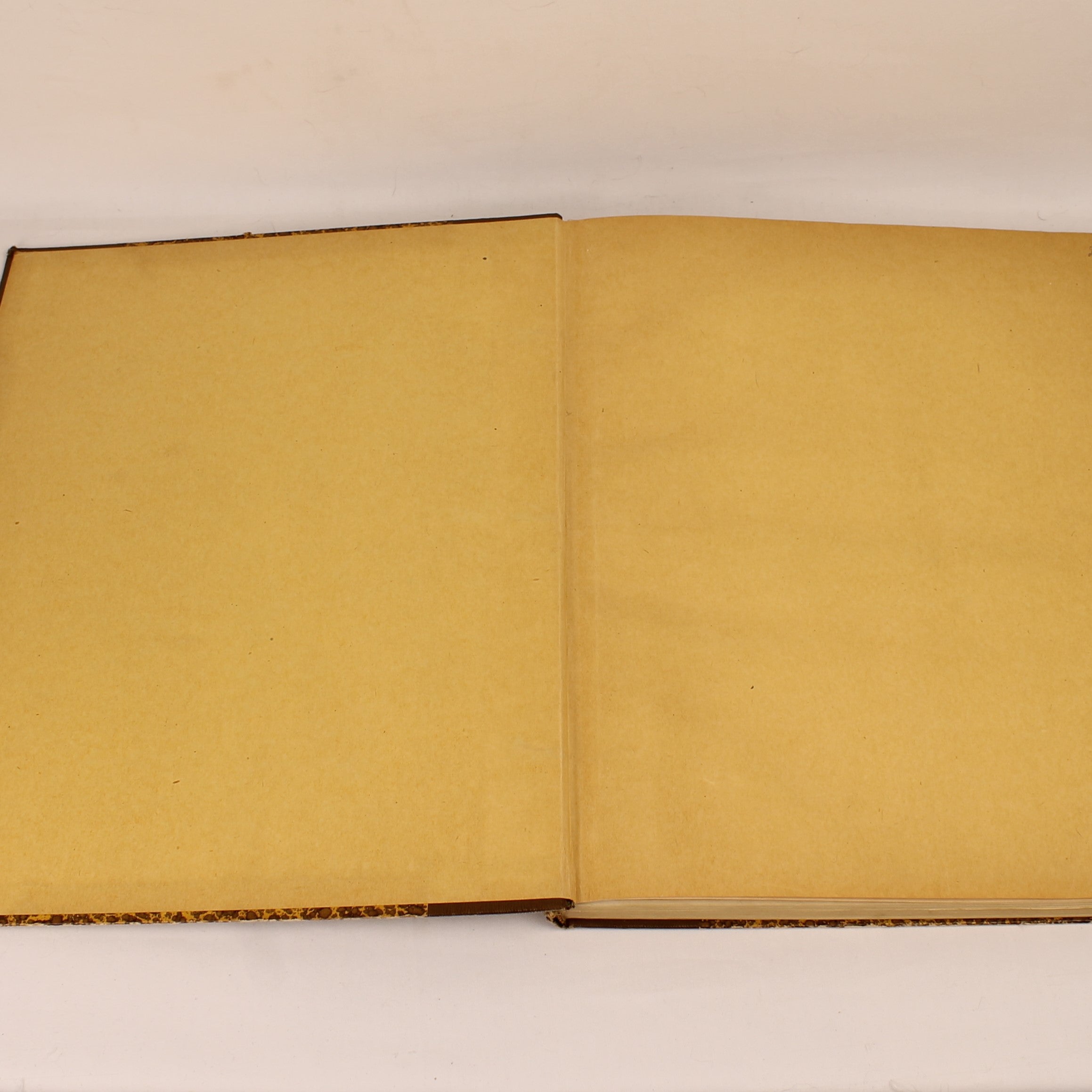 Édition Ancienne “Contes de Ma Mère l'Oye” – Gravures de Gustave Doré – D. Bolle Rotterdam – vers 1900 – In-folio de 33,5 cm