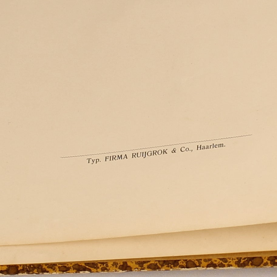 Édition Ancienne “Contes de Ma Mère l'Oye” – Gravures de Gustave Doré – D. Bolle Rotterdam – vers 1900 – In-folio de 33,5 cm